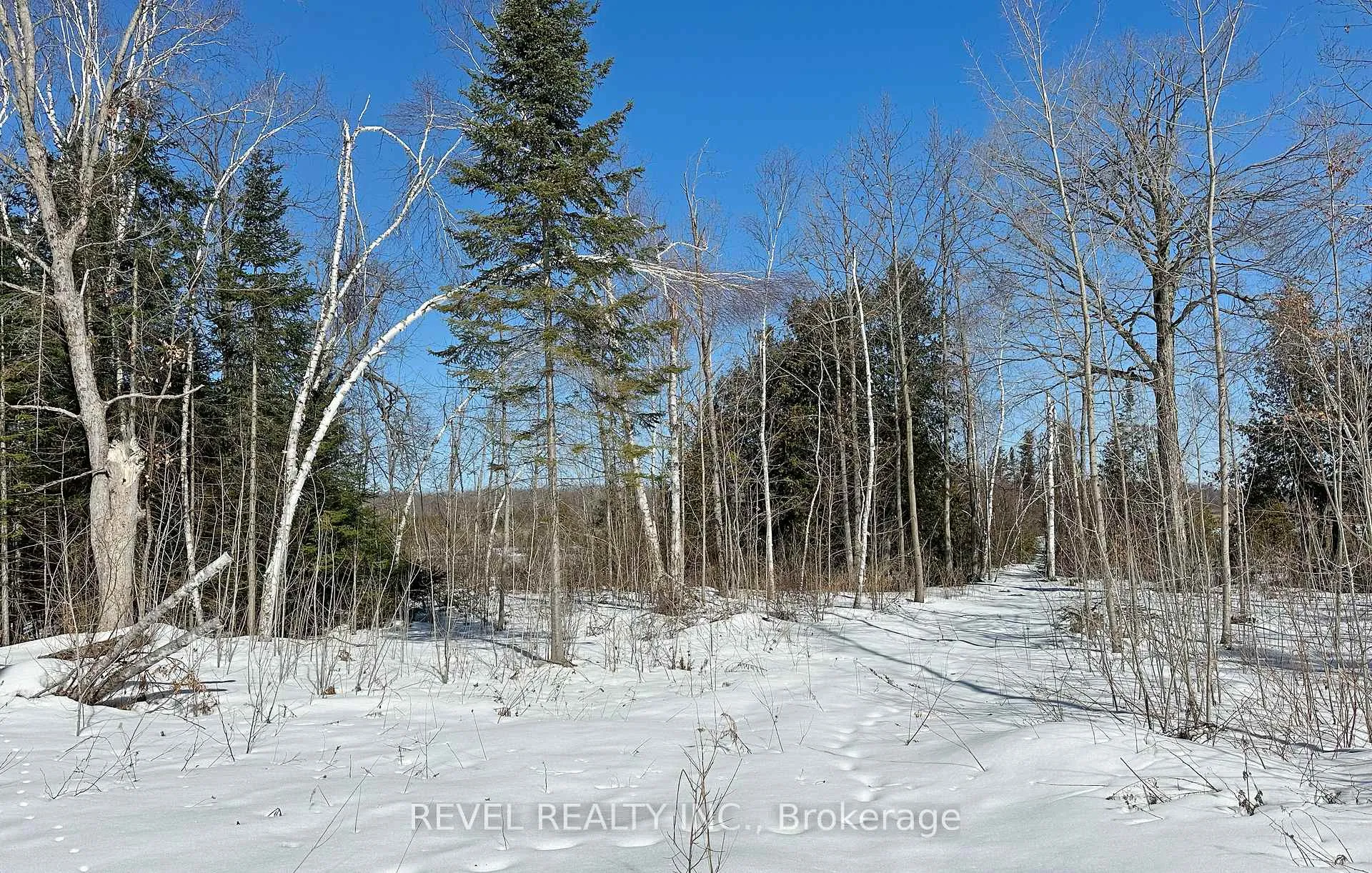 Photo 6 of 77 McNevan Drive, Kawartha Lakes, Fenelon — HOMEH