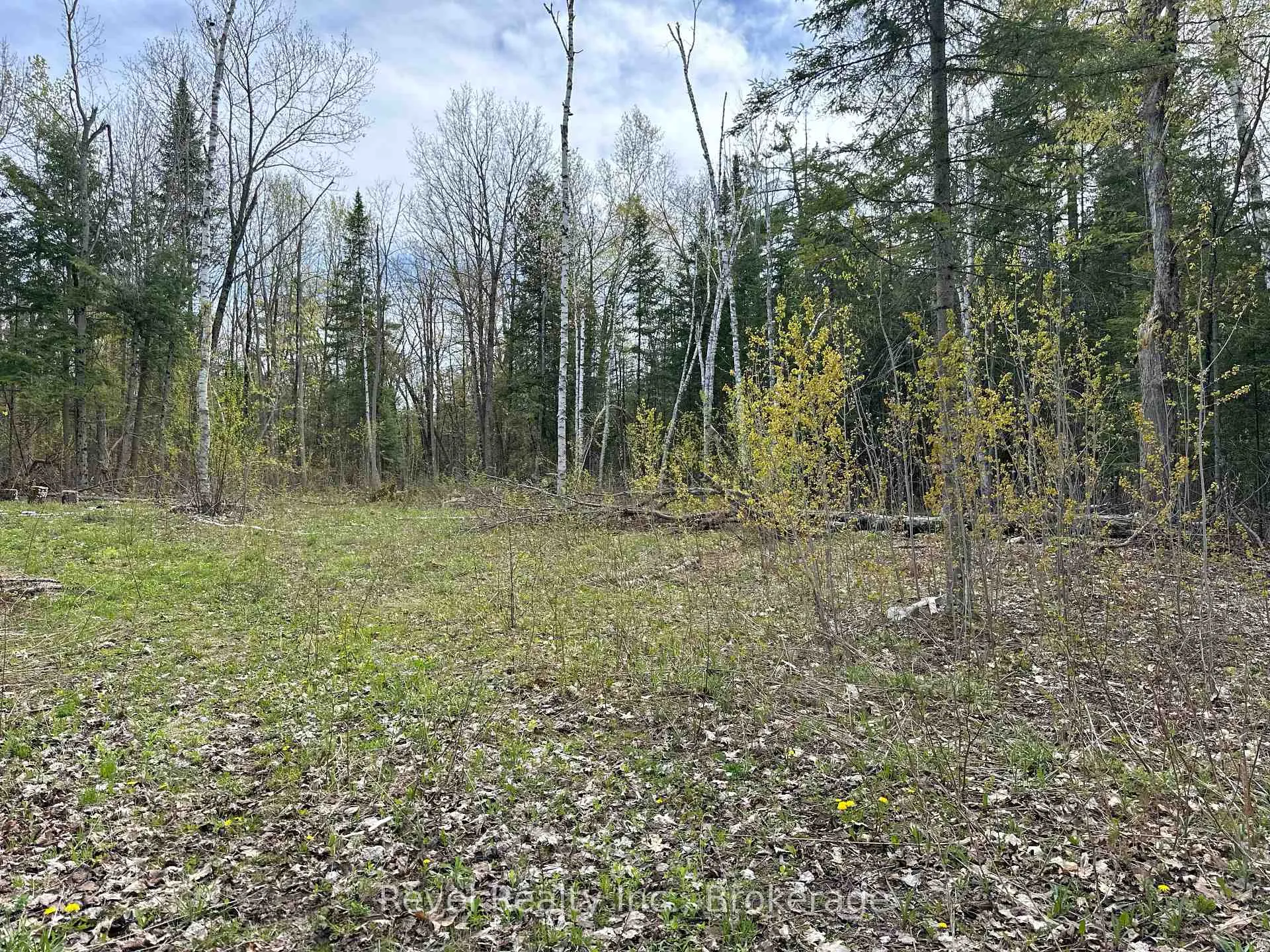 Photo 11 of 77 McNevan Drive, Kawartha Lakes, Fenelon — HOMEH