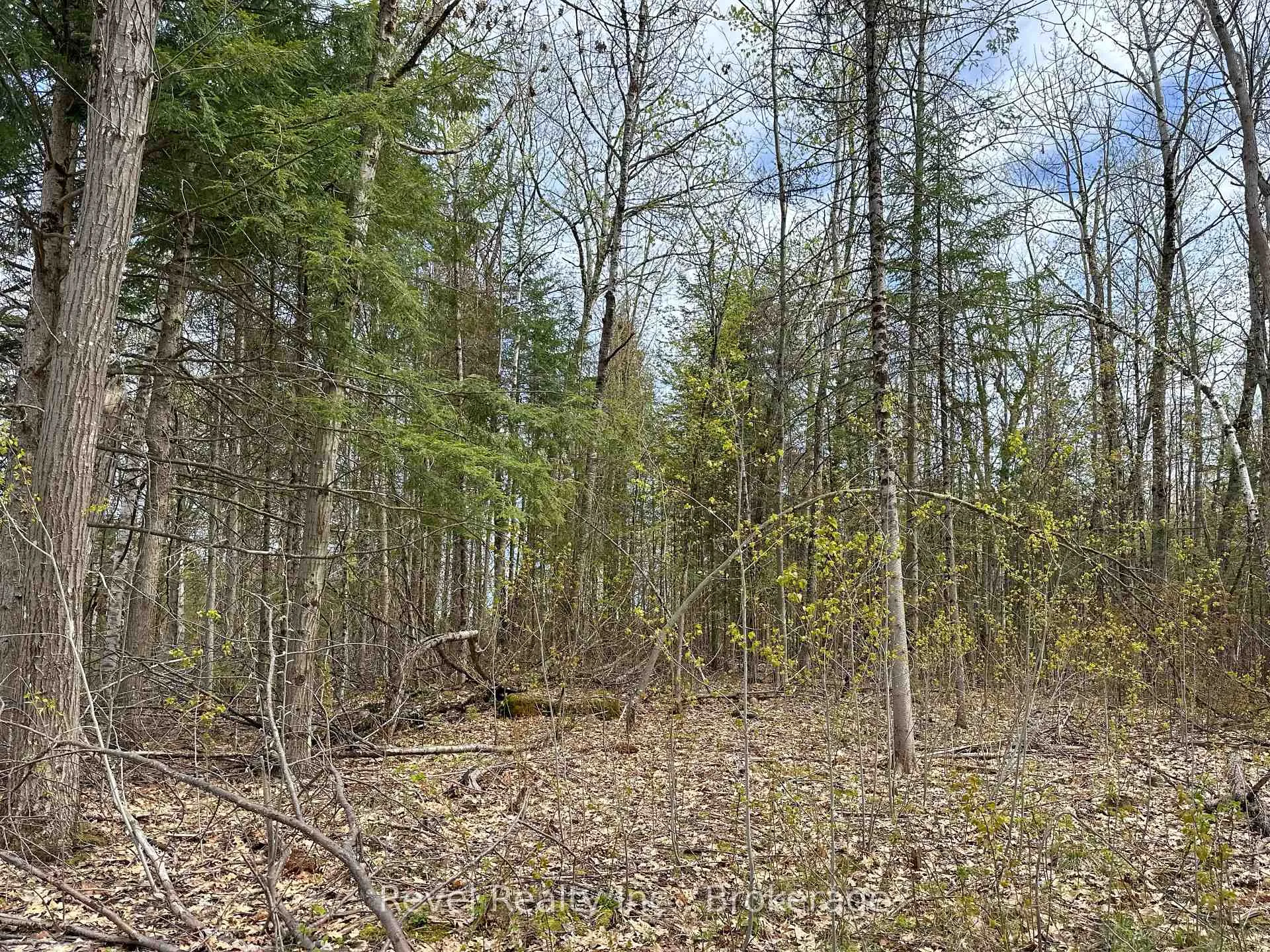 Photo 12 of 77 McNevan Drive, Kawartha Lakes, Fenelon — HOMEH