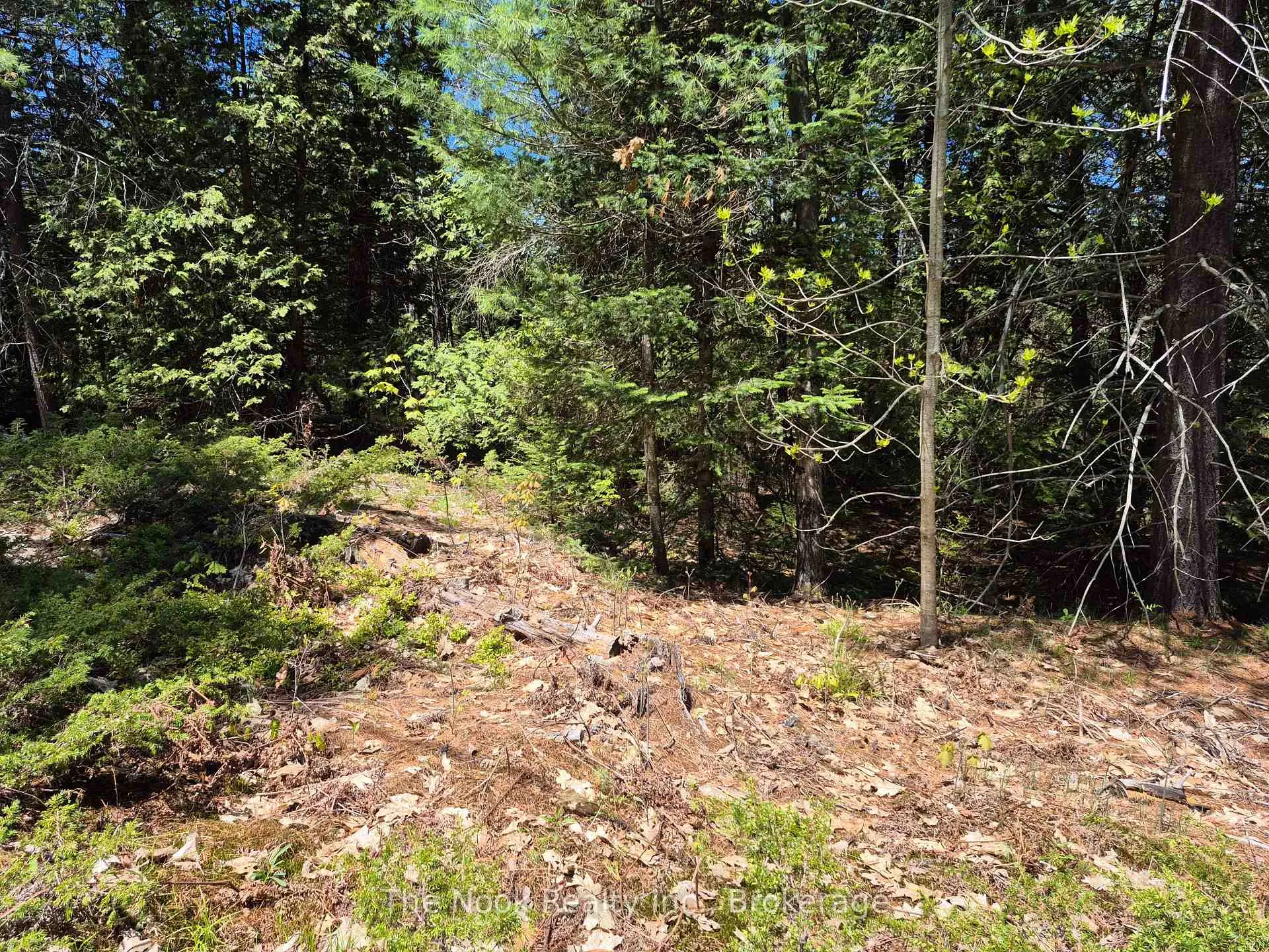 Photo 7 of 00 Pine Path, Frontenac, Frontenac North — HOMEH