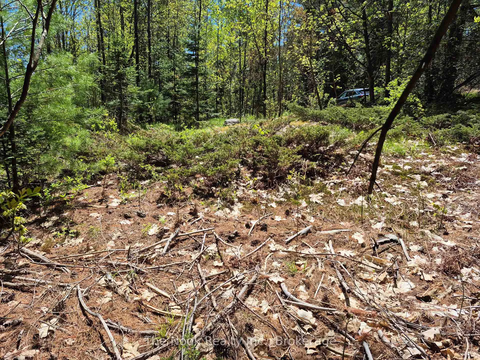 Photo 8 of 00 Pine Path, Frontenac, Frontenac North — HOMEH