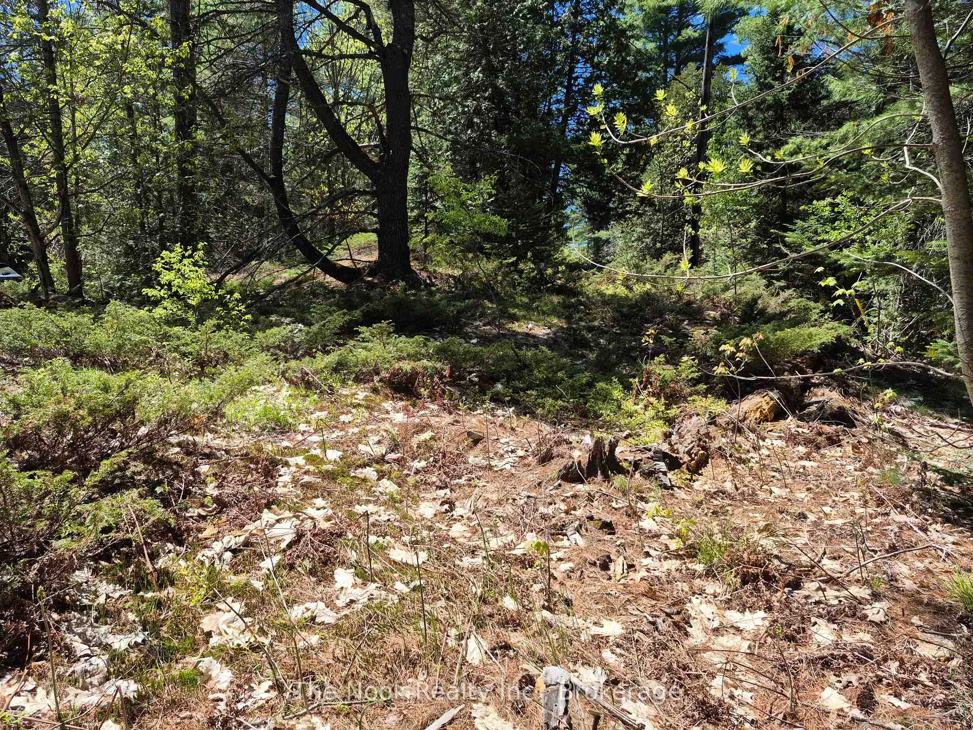 Photo 10 of 00 Pine Path, Frontenac, Frontenac North — HOMEH