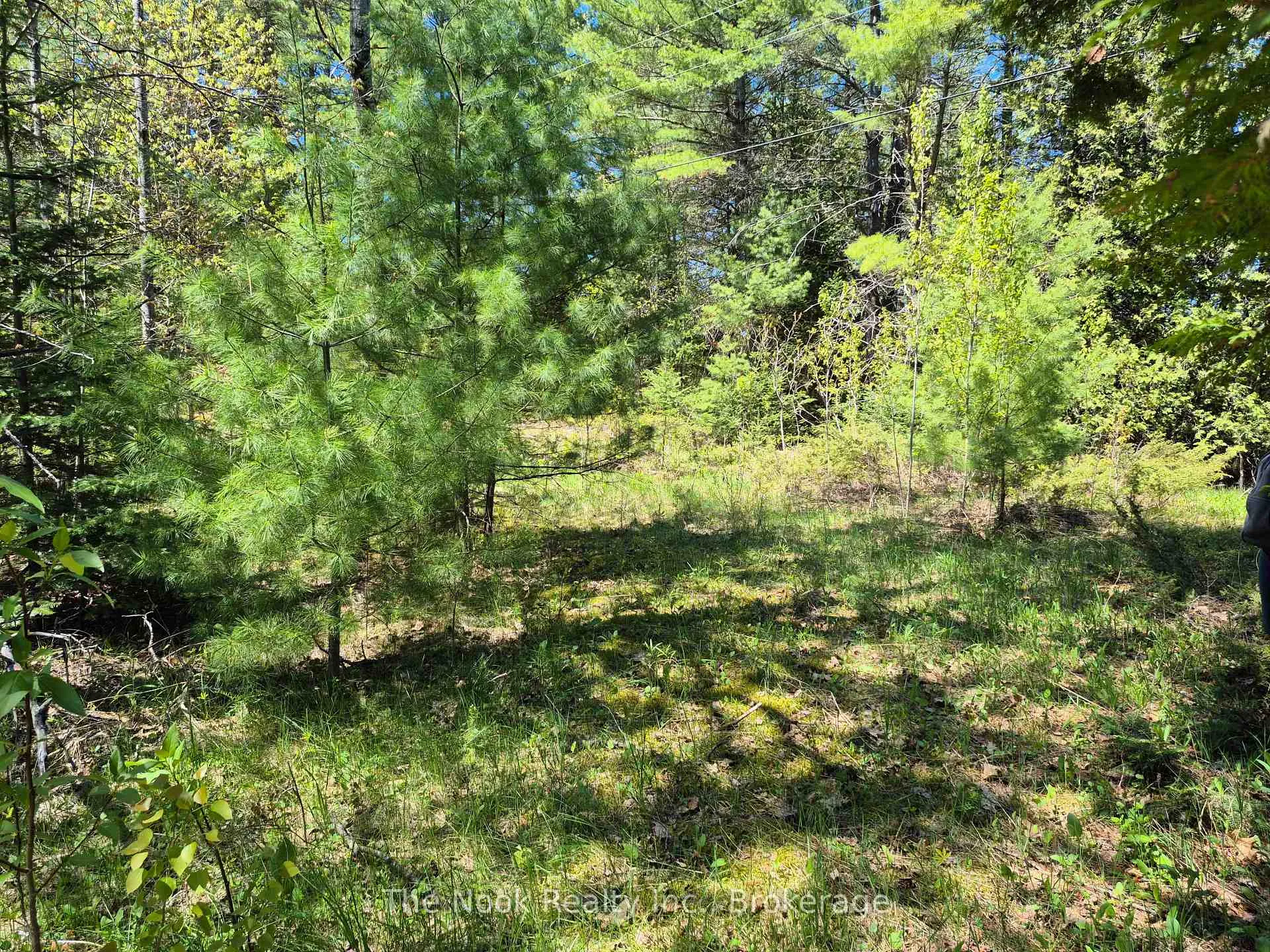 Photo 11 of 00 Pine Path, Frontenac, Frontenac North — HOMEH