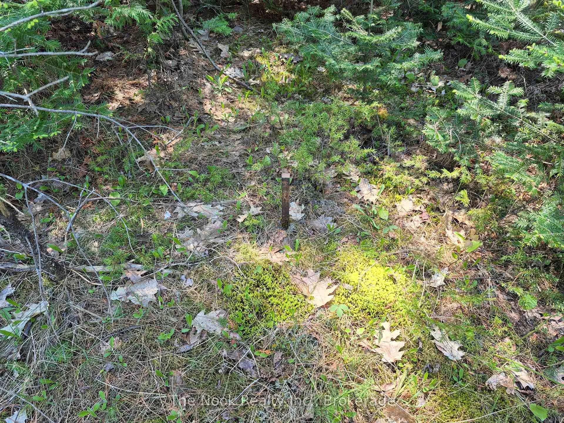 Photo 14 of 00 Pine Path, Frontenac, Frontenac North — HOMEH