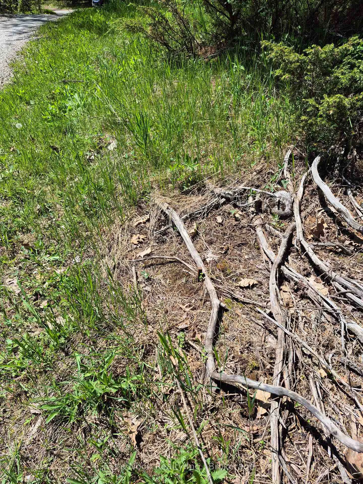Photo 16 of 00 Pine Path, Frontenac, Frontenac North — HOMEH