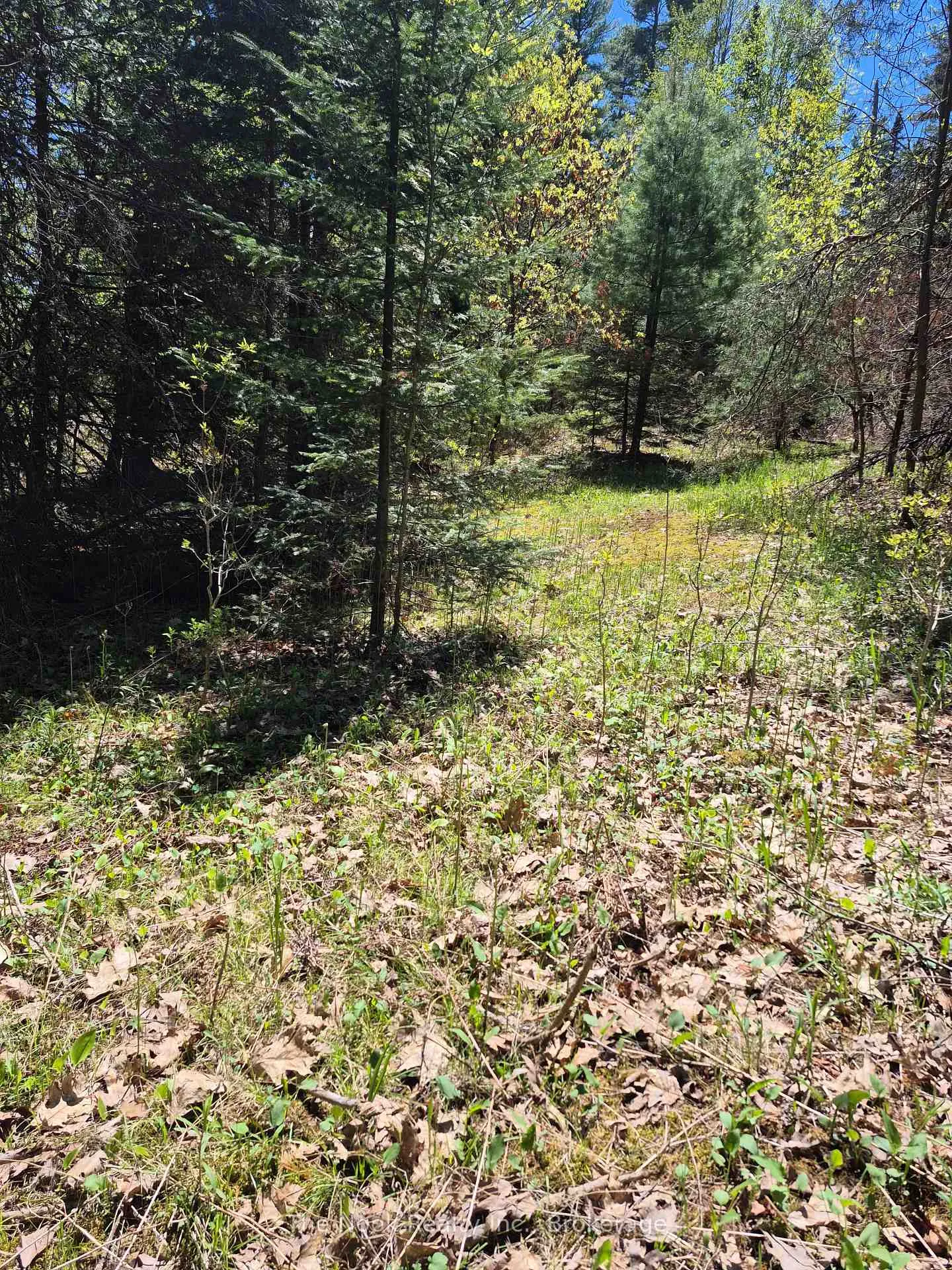 Photo 20 of 00 Pine Path, Frontenac, Frontenac North — HOMEH