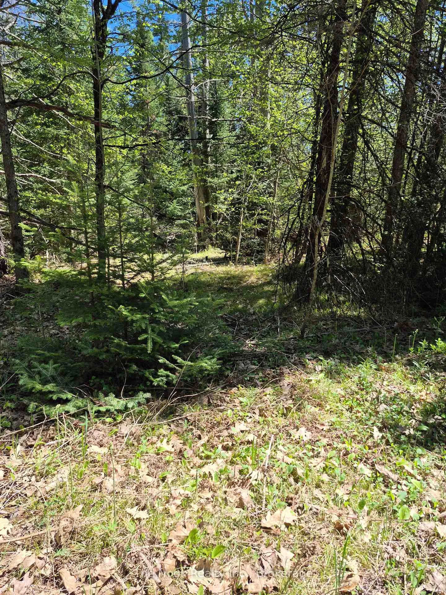 Photo 21 of 00 Pine Path, Frontenac, Frontenac North — HOMEH