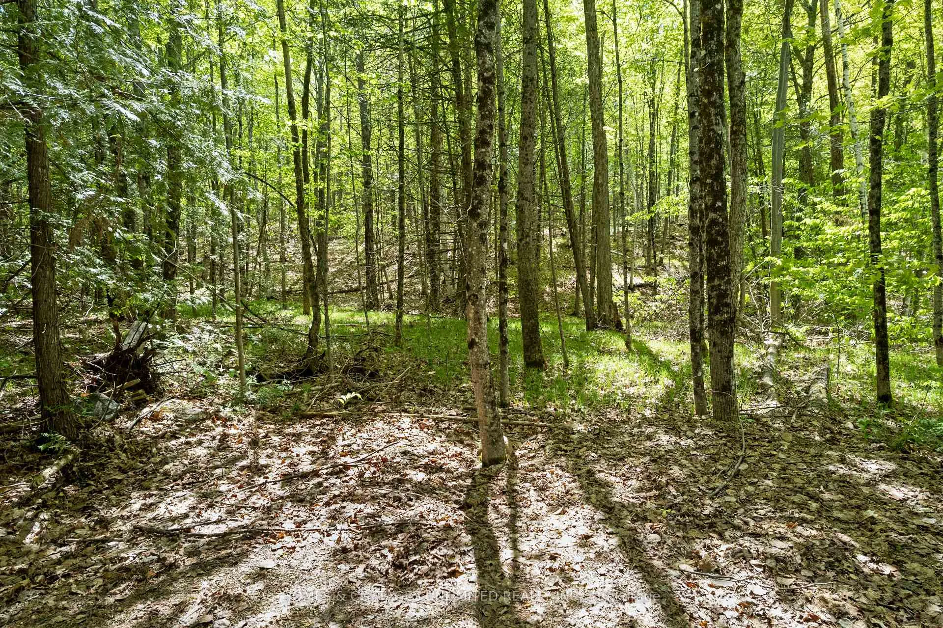 Photo 8 of 1039 Young Lane, Frontenac, Frontenac North — HOMEH