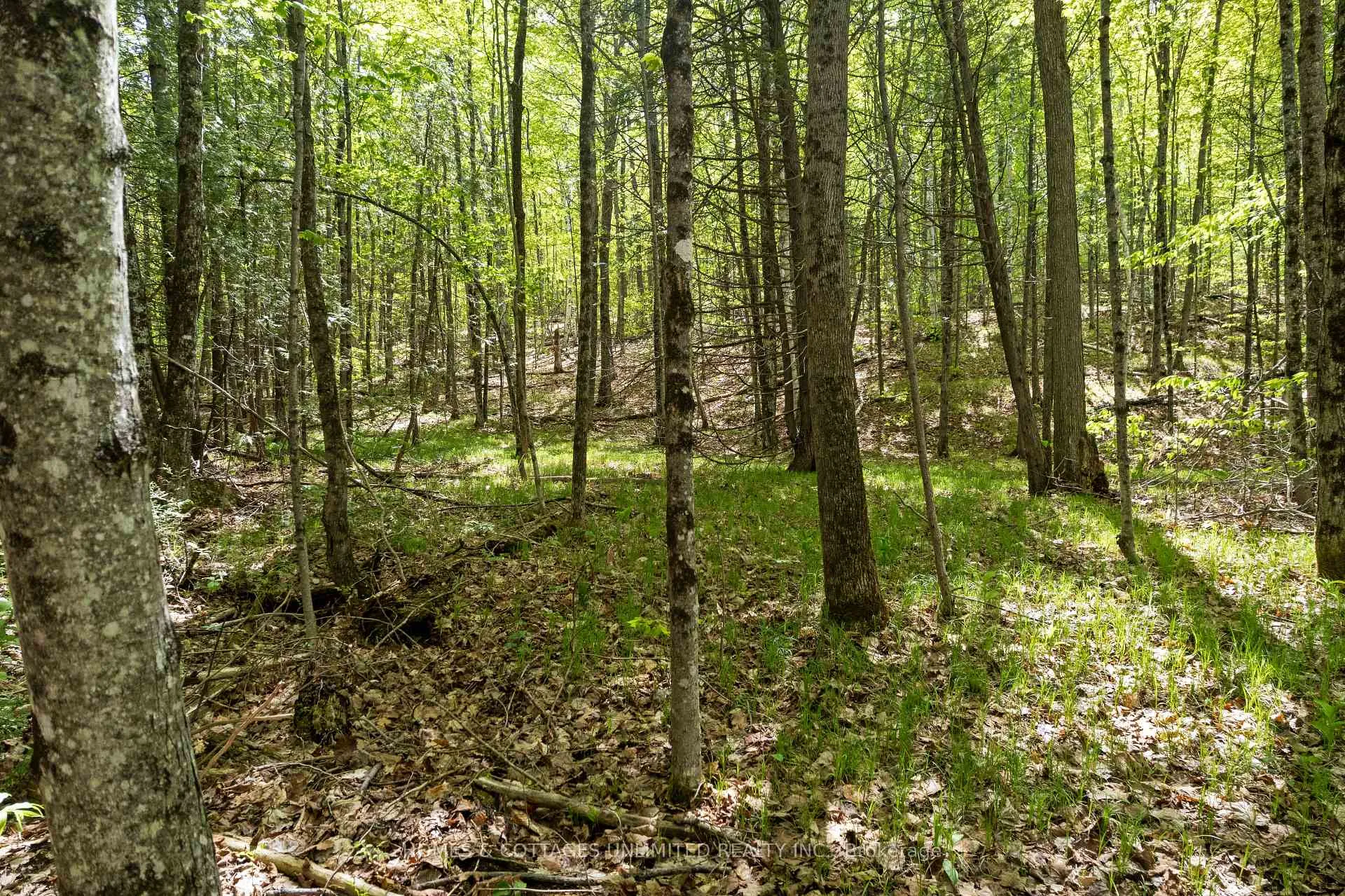 Photo 9 of 1039 Young Lane, Frontenac, Frontenac North — HOMEH