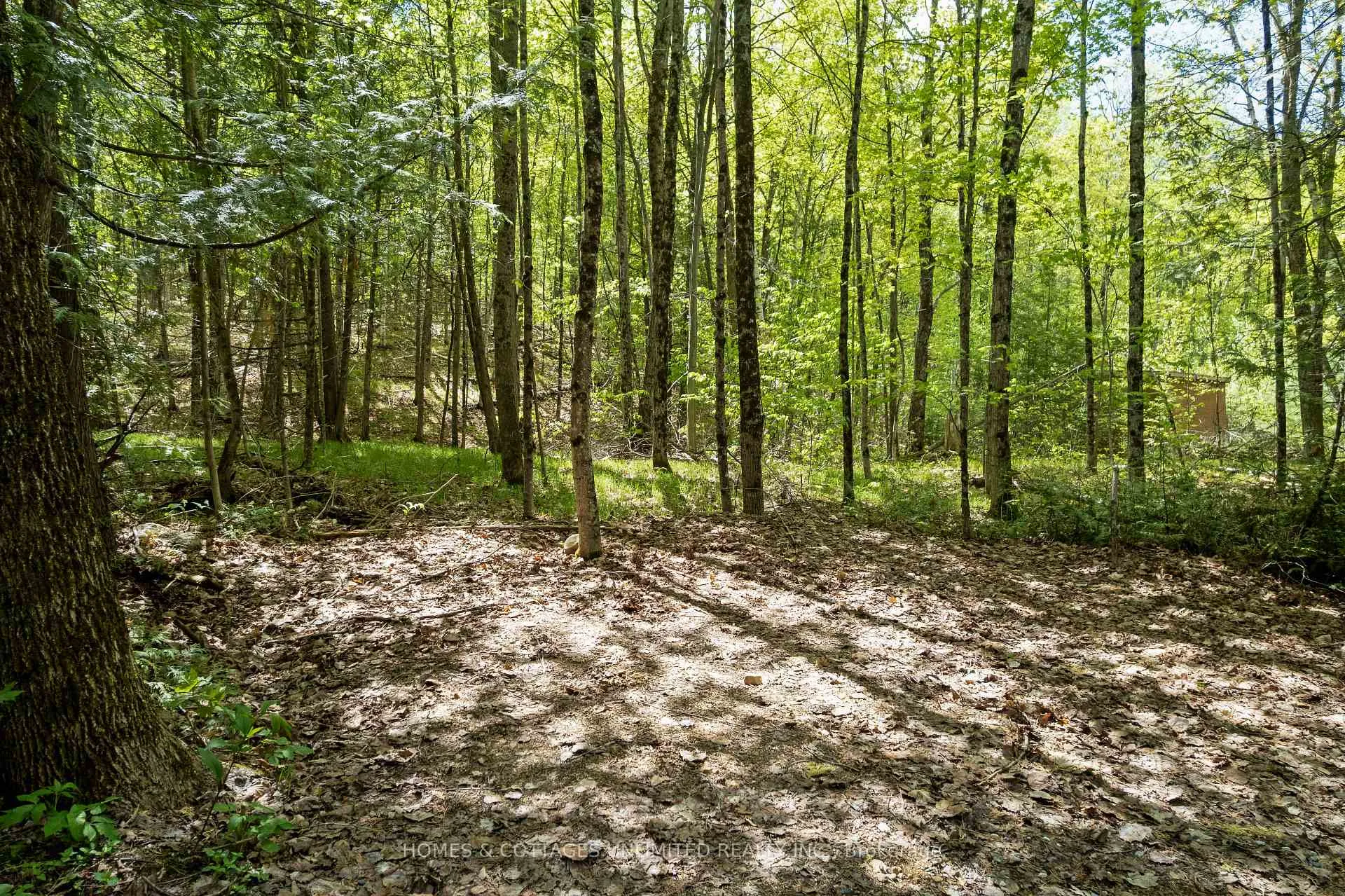 Photo 10 of 1039 Young Lane, Frontenac, Frontenac North — HOMEH