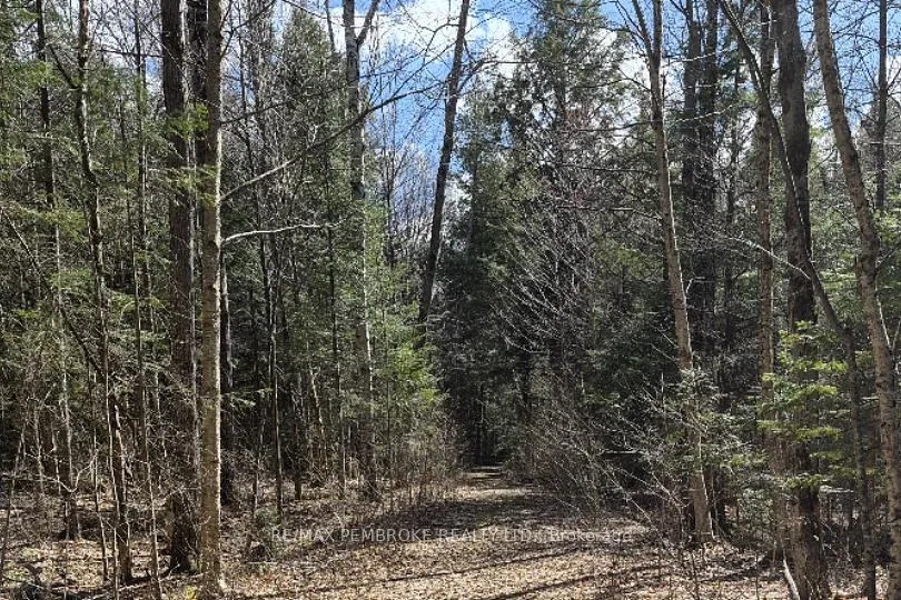 Photo 11 of 27681 Highway 60, South Algonquin — HOMEH