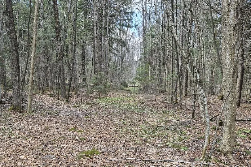 Photo 12 of 27681 Highway 60, South Algonquin — HOMEH