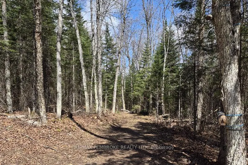 Photo 13 of 27681 Highway 60, South Algonquin — HOMEH