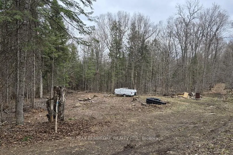 Photo 15 of 27681 Highway 60, South Algonquin — HOMEH