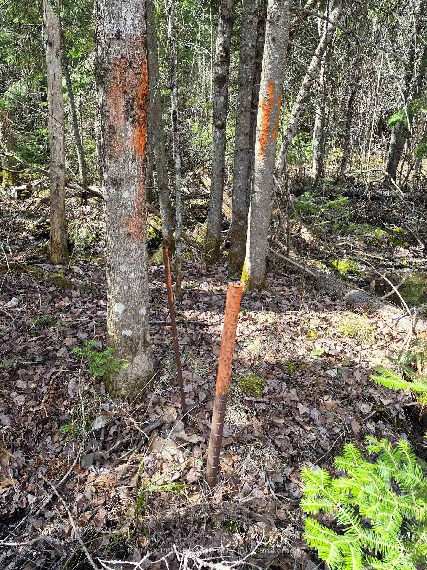 Photo 19 of 27681 Highway 60, South Algonquin — HOMEH