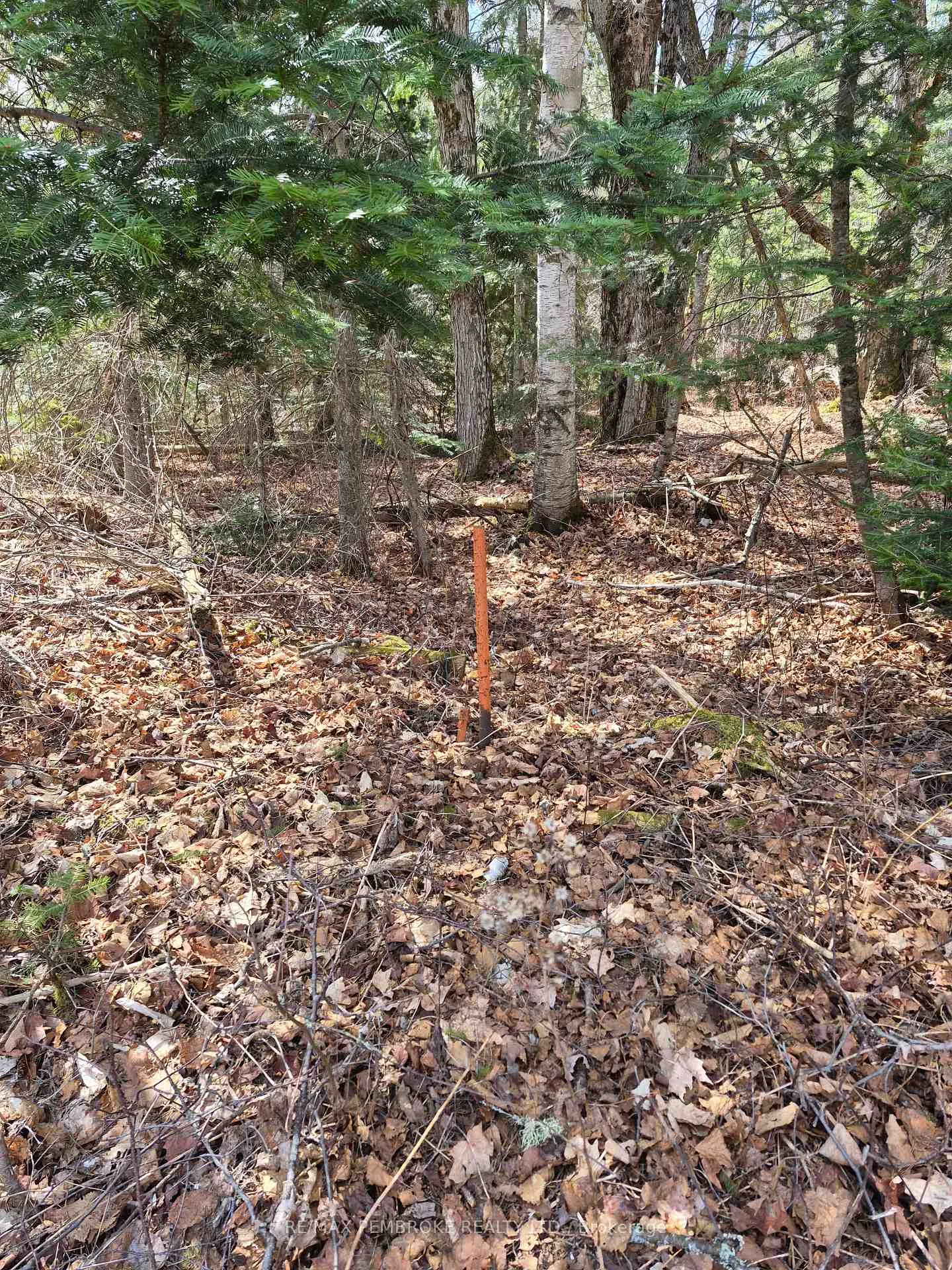 Photo 20 of 27681 Highway 60, South Algonquin — HOMEH