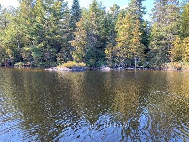 Photo 5 of Strathcona Island, Temagami — HOMEH