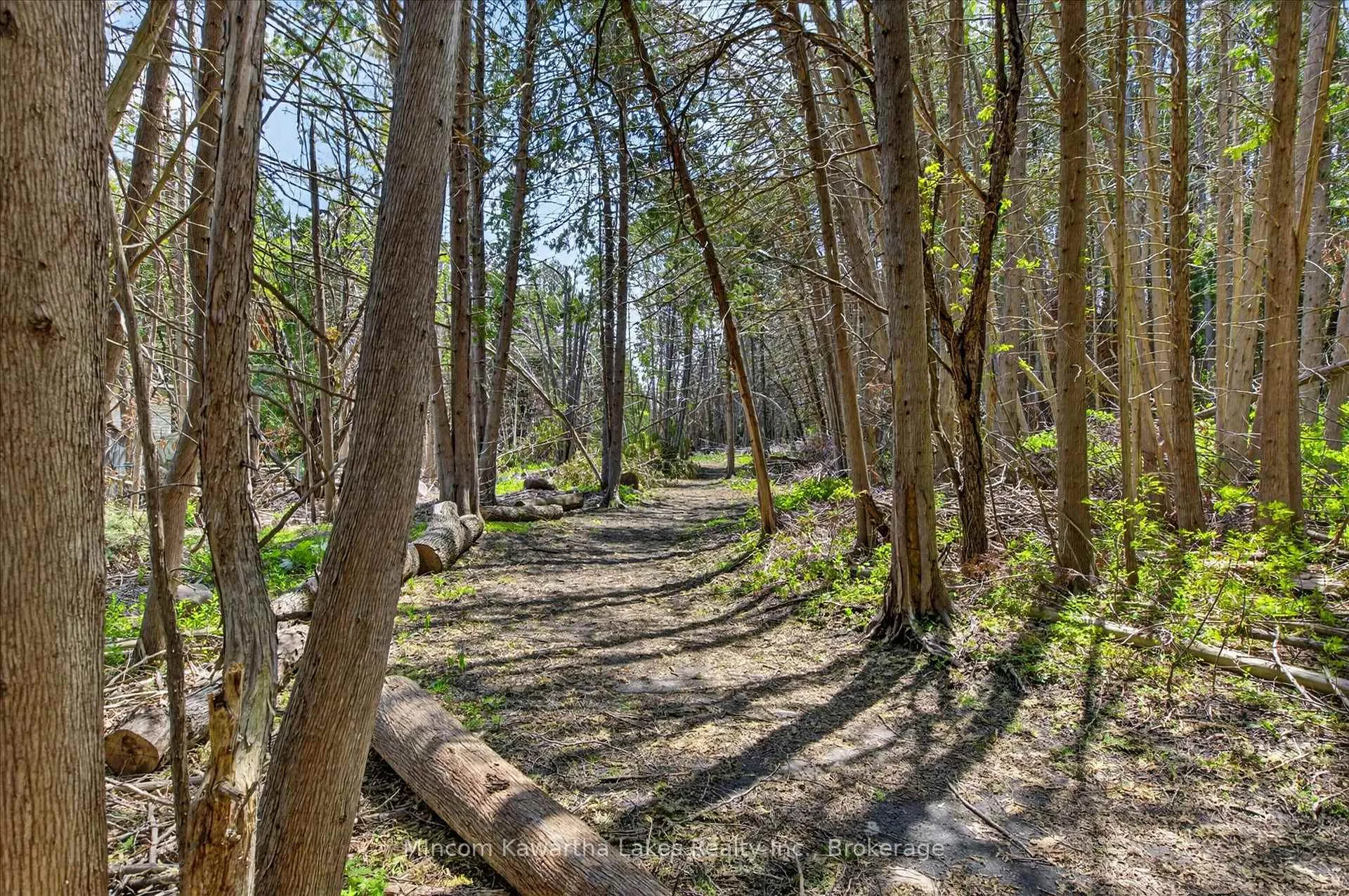 Photo 50 of 1071 Danita Boulevard, Peterborough, Monaghan Ward 2 — HOMEH