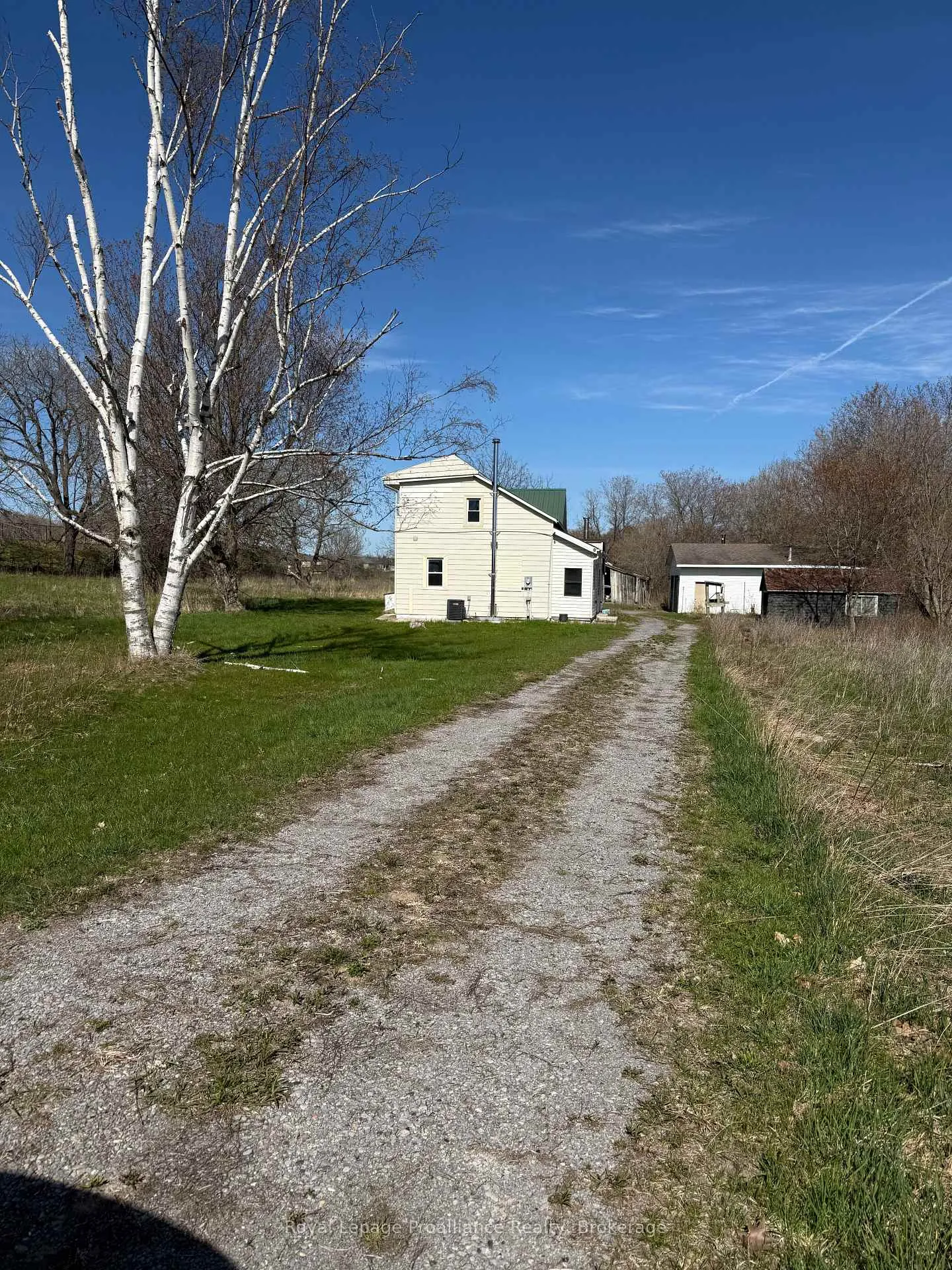 Photo of 303 Brimley Road S
