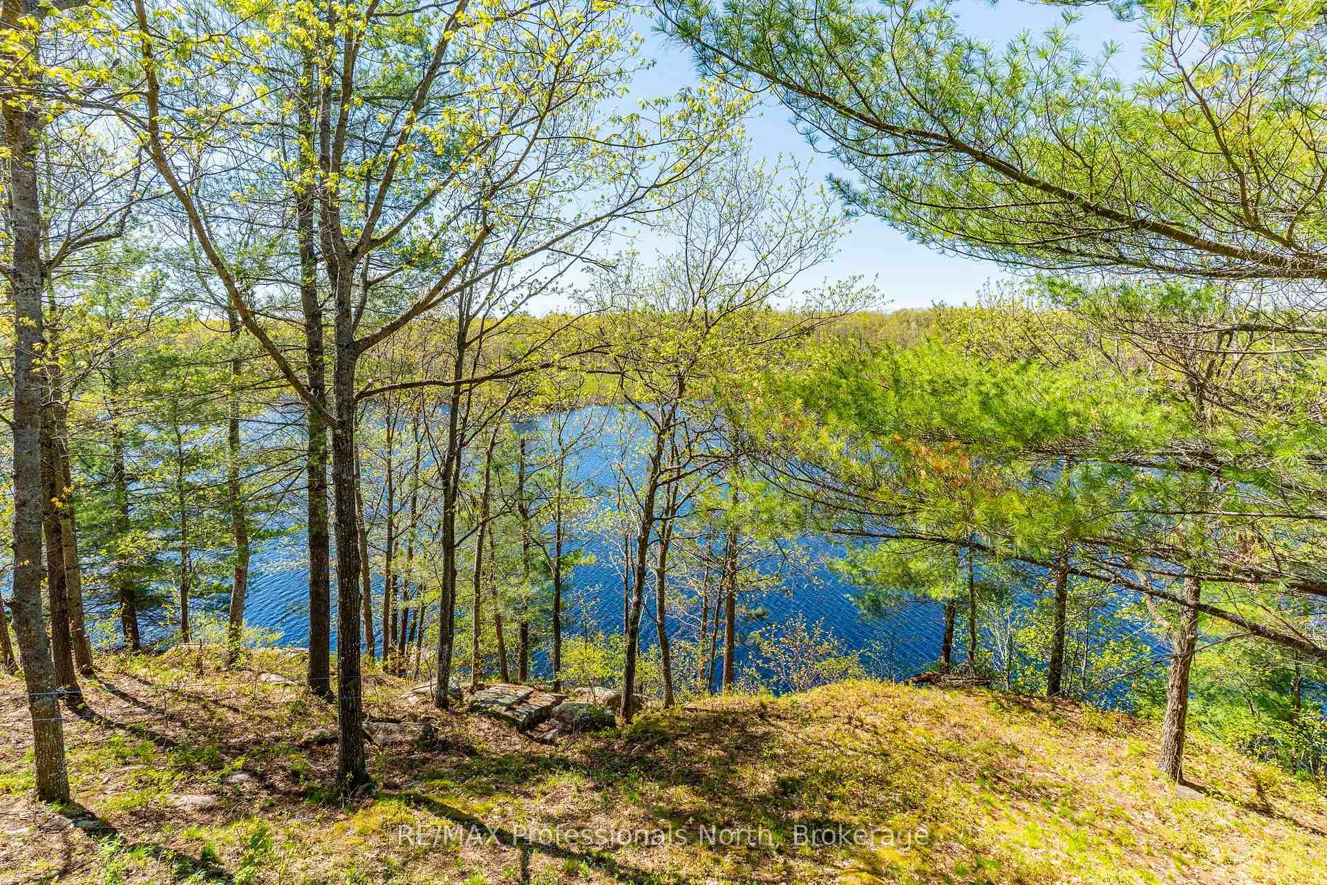 Photo 4 of 1011 Palomino Trail, Minden Hills, Lutterworth — HOMEH