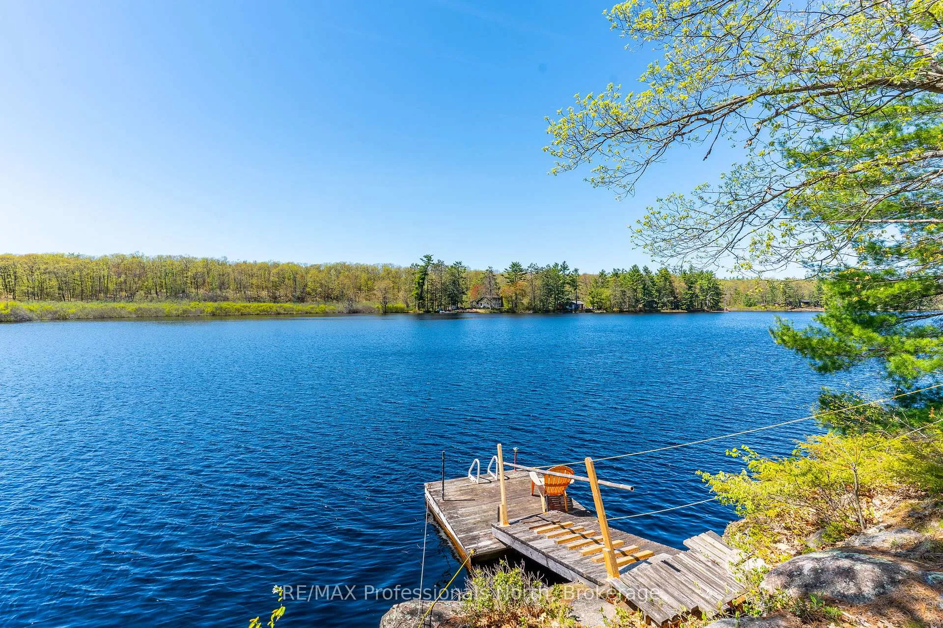 Photo 6 of 1011 Palomino Trail, Minden Hills, Lutterworth — HOMEH