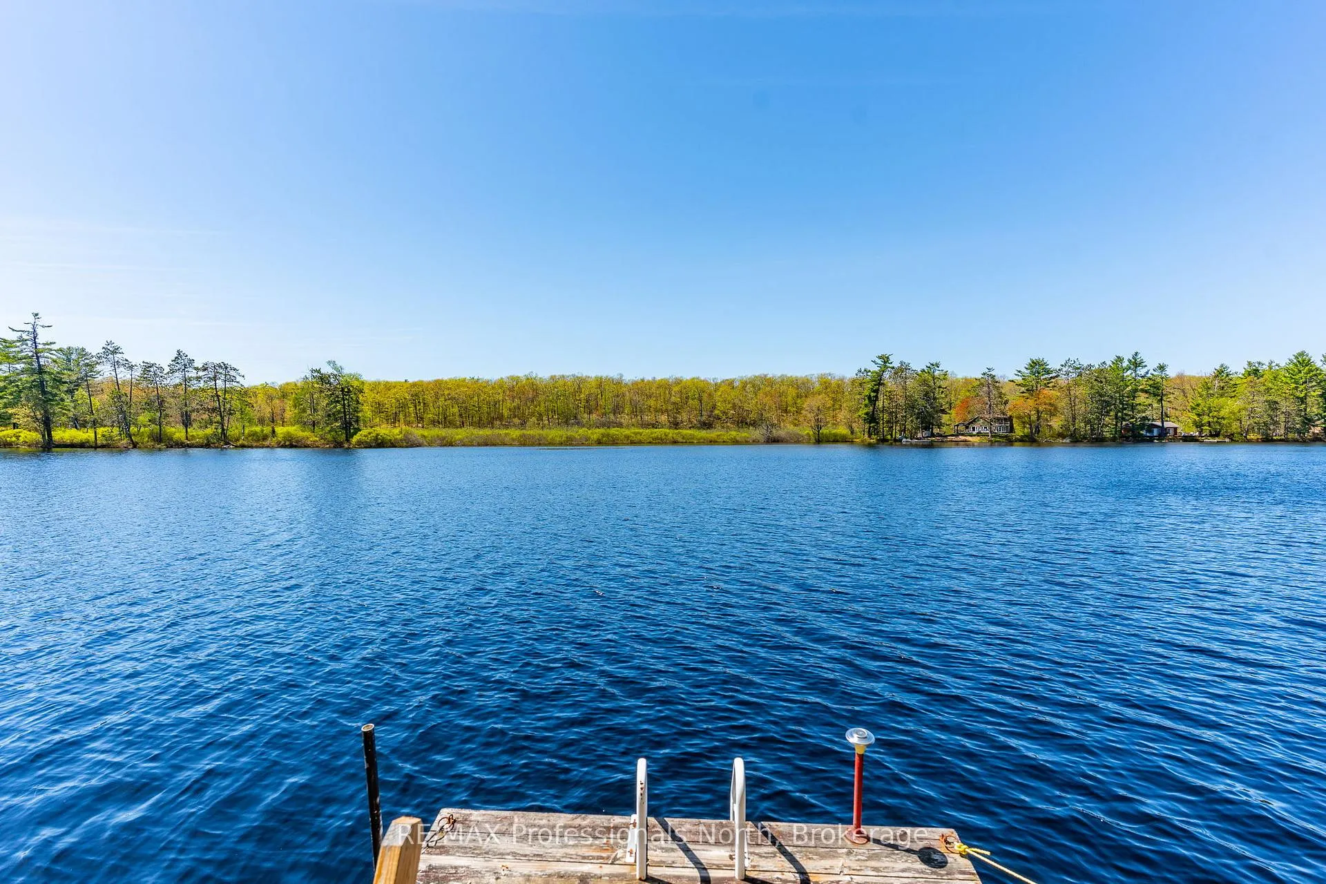 Photo 7 of 1011 Palomino Trail, Minden Hills, Lutterworth — HOMEH
