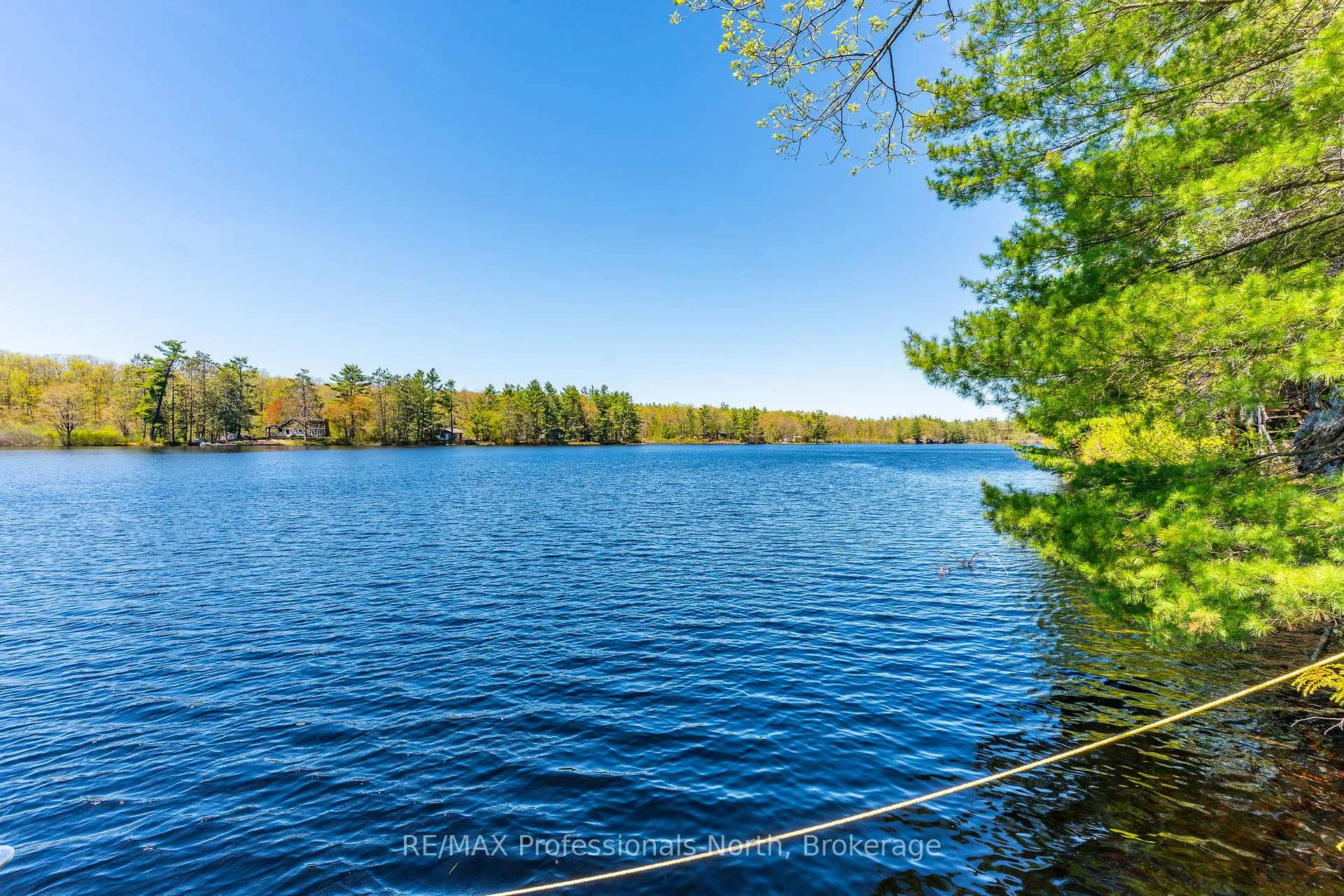 Photo 8 of 1011 Palomino Trail, Minden Hills, Lutterworth — HOMEH