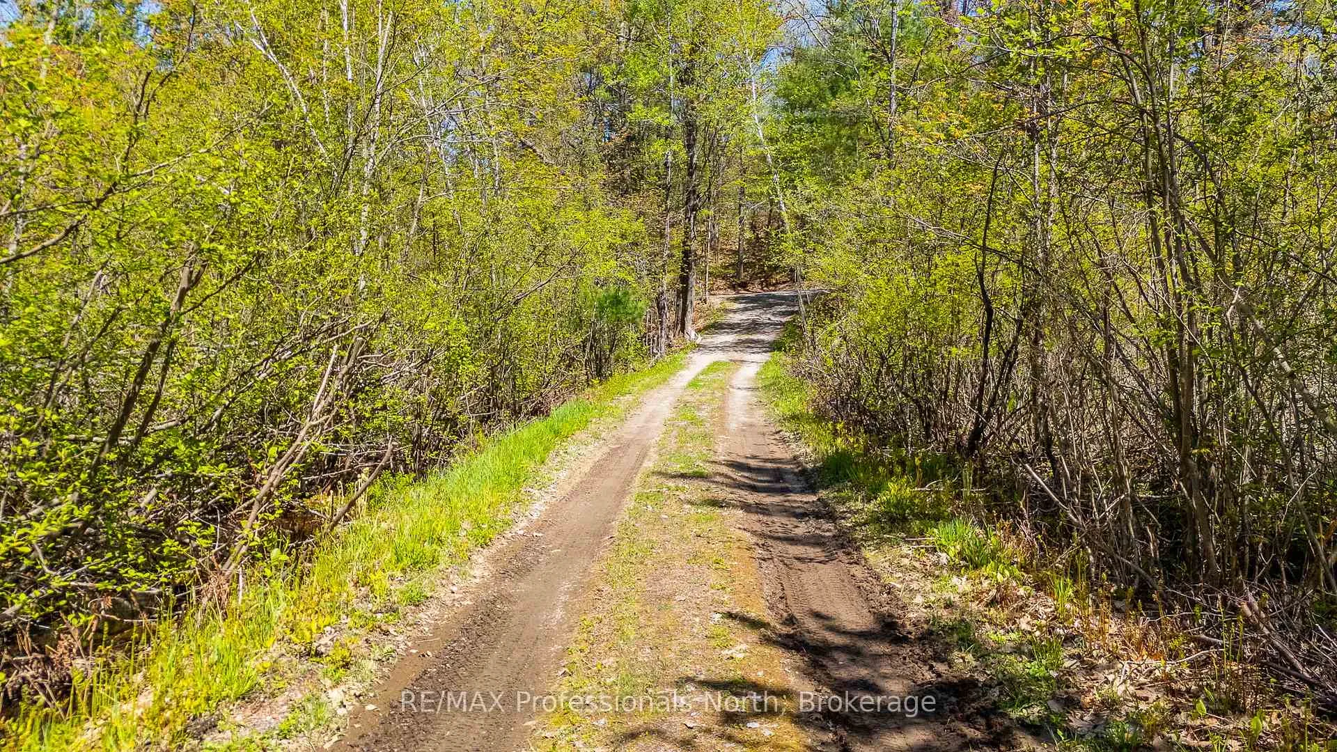 Photo 34 of 1011 Palomino Trail, Minden Hills, Lutterworth — HOMEH
