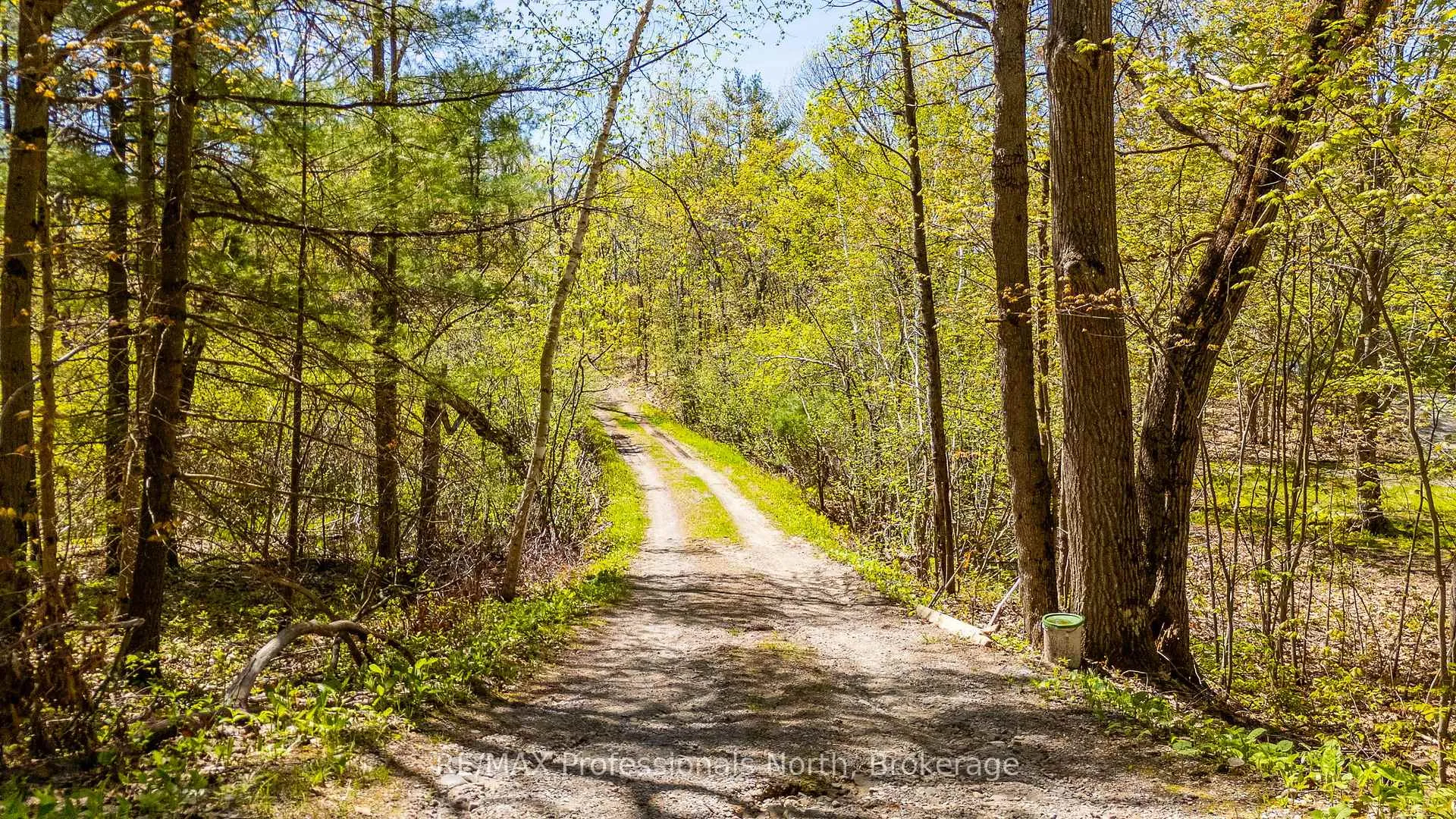 Photo 35 of 1011 Palomino Trail, Minden Hills, Lutterworth — HOMEH