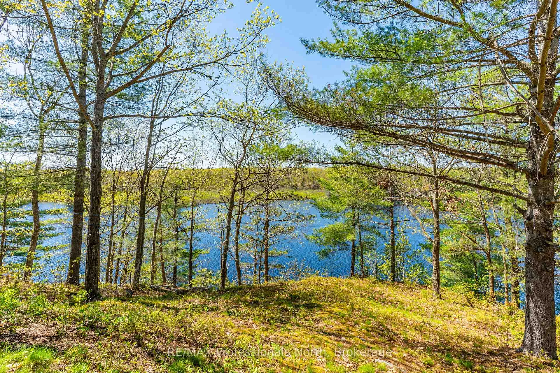 Photo 39 of 1011 Palomino Trail, Minden Hills, Lutterworth — HOMEH