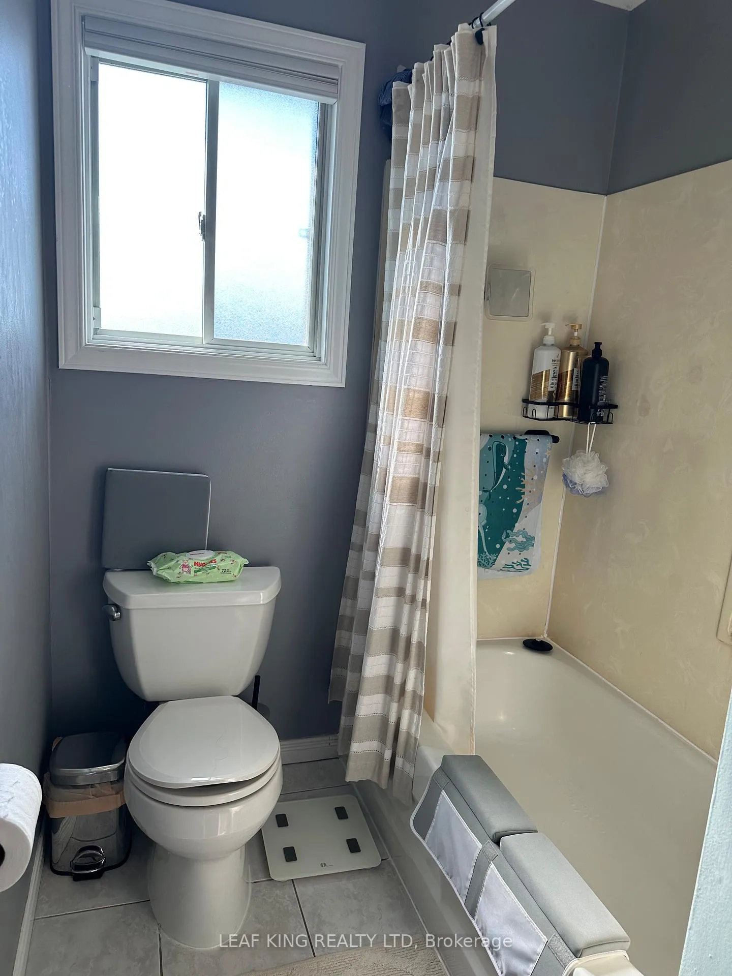 Photo 15 of 33 Vineberg Drive, Hamilton, Chappel — HOMEH