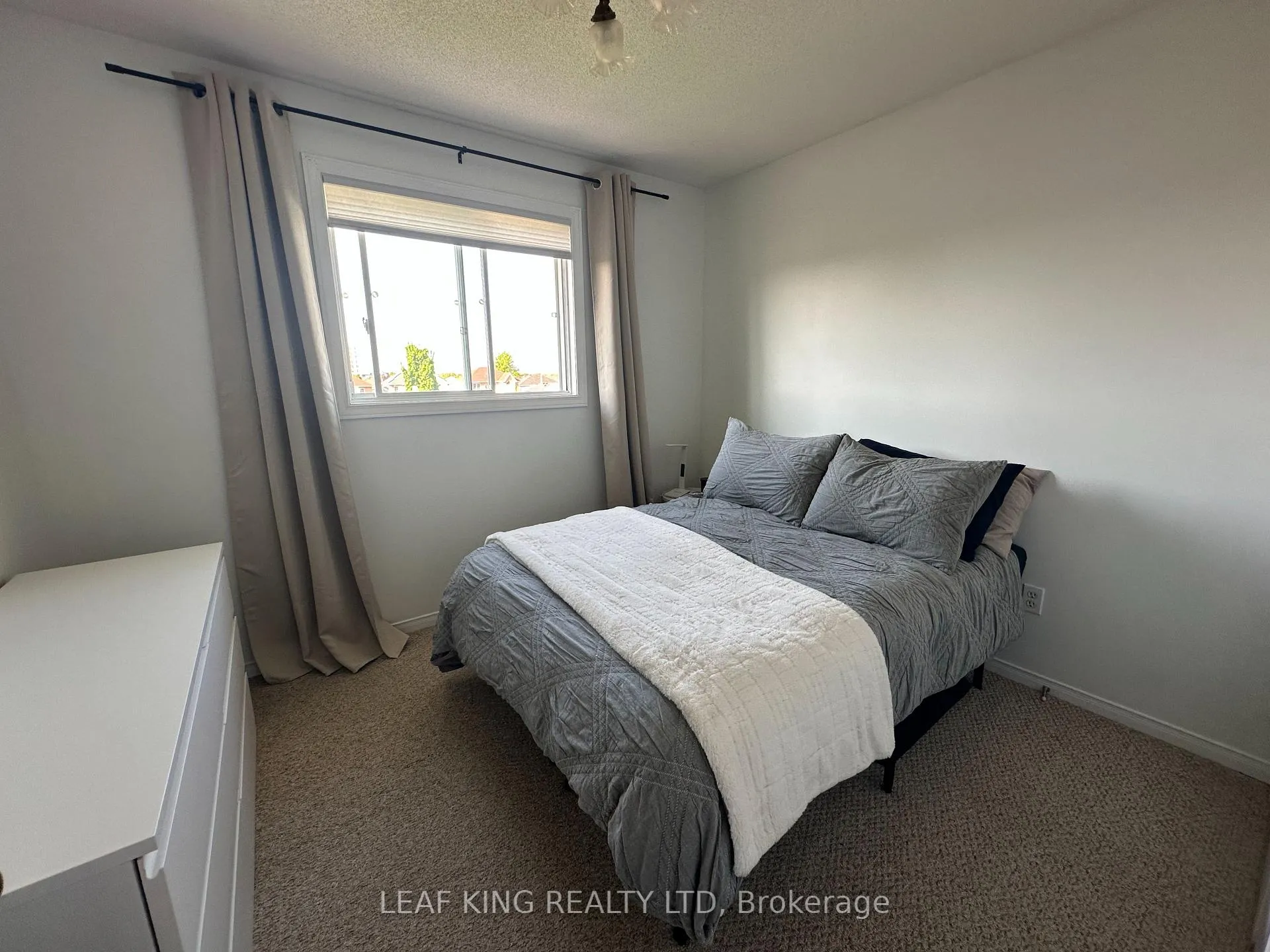Photo 16 of 33 Vineberg Drive, Hamilton, Chappel — HOMEH