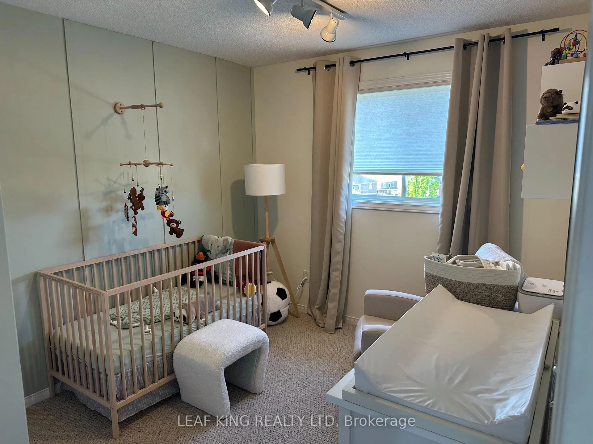 Photo 17 of 33 Vineberg Drive, Hamilton, Chappel — HOMEH