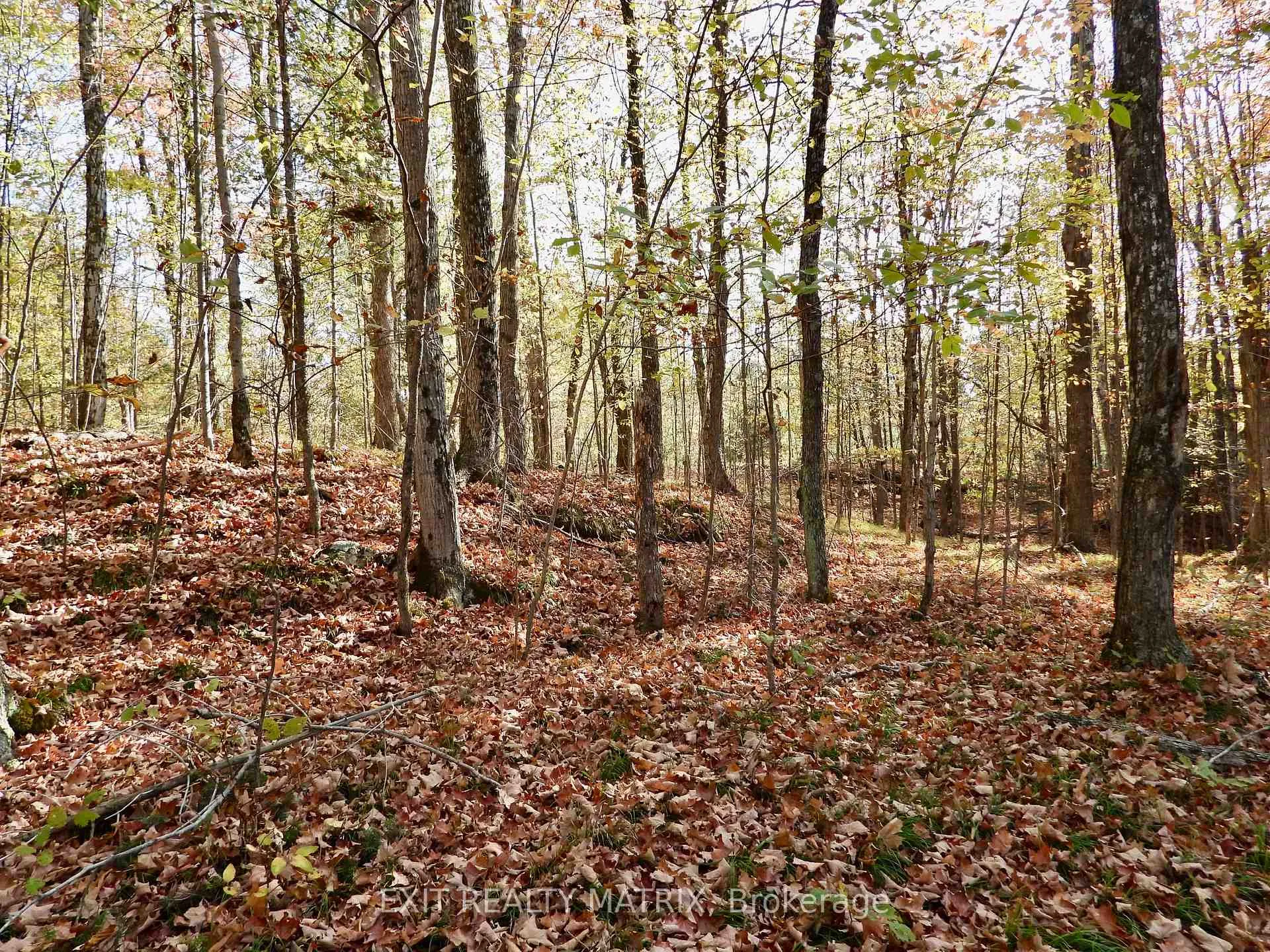 Photo of Lot 1 Woodland Park Drive