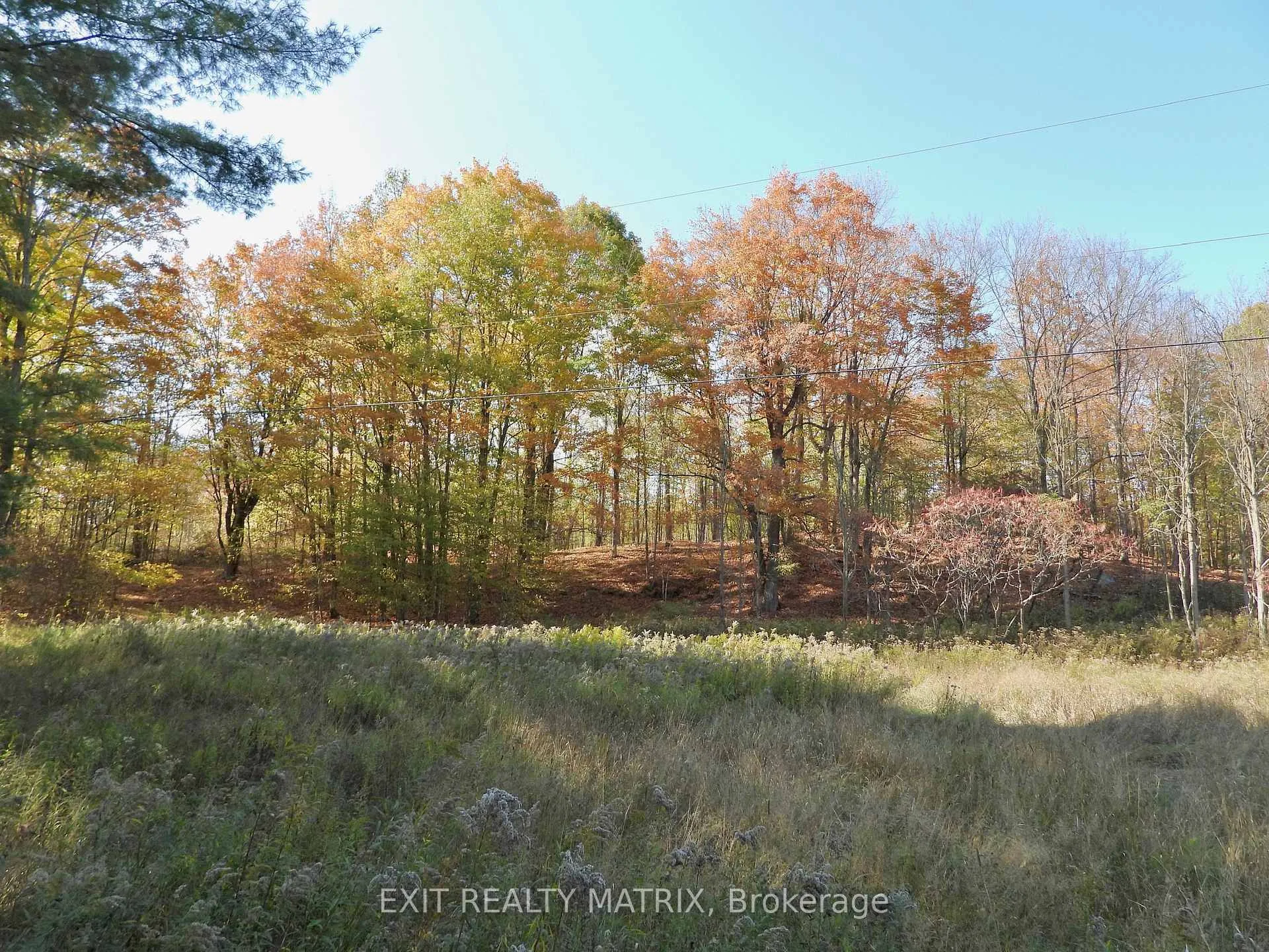Photo of LOT 2 Woodland Park Drive