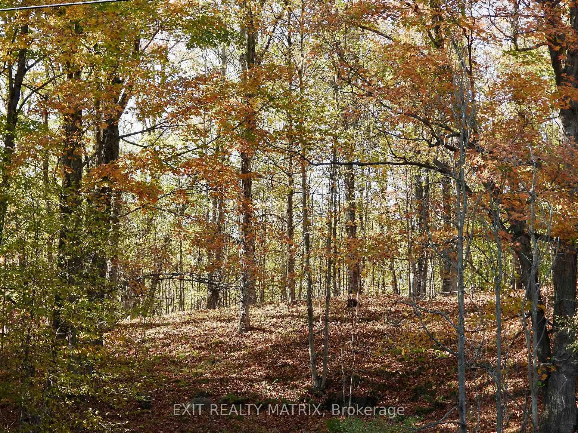 Photo 4 of LOT 2 Woodland Park Drive, Frontenac, Frontenac Centre — HOMEH