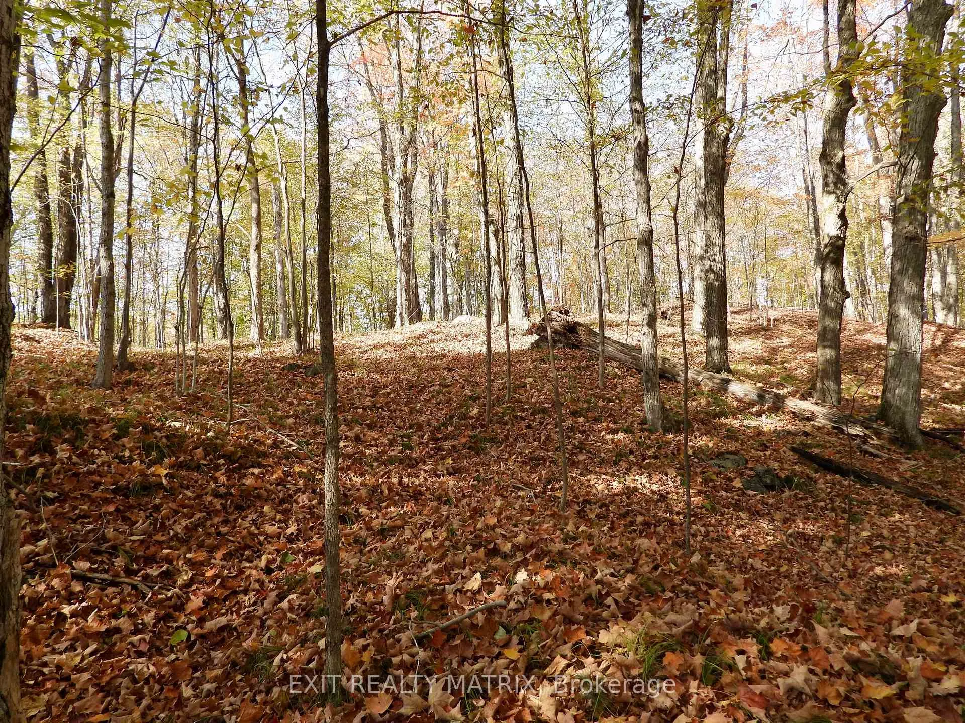 Photo 5 of LOT 2 Woodland Park Drive, Frontenac, Frontenac Centre — HOMEH