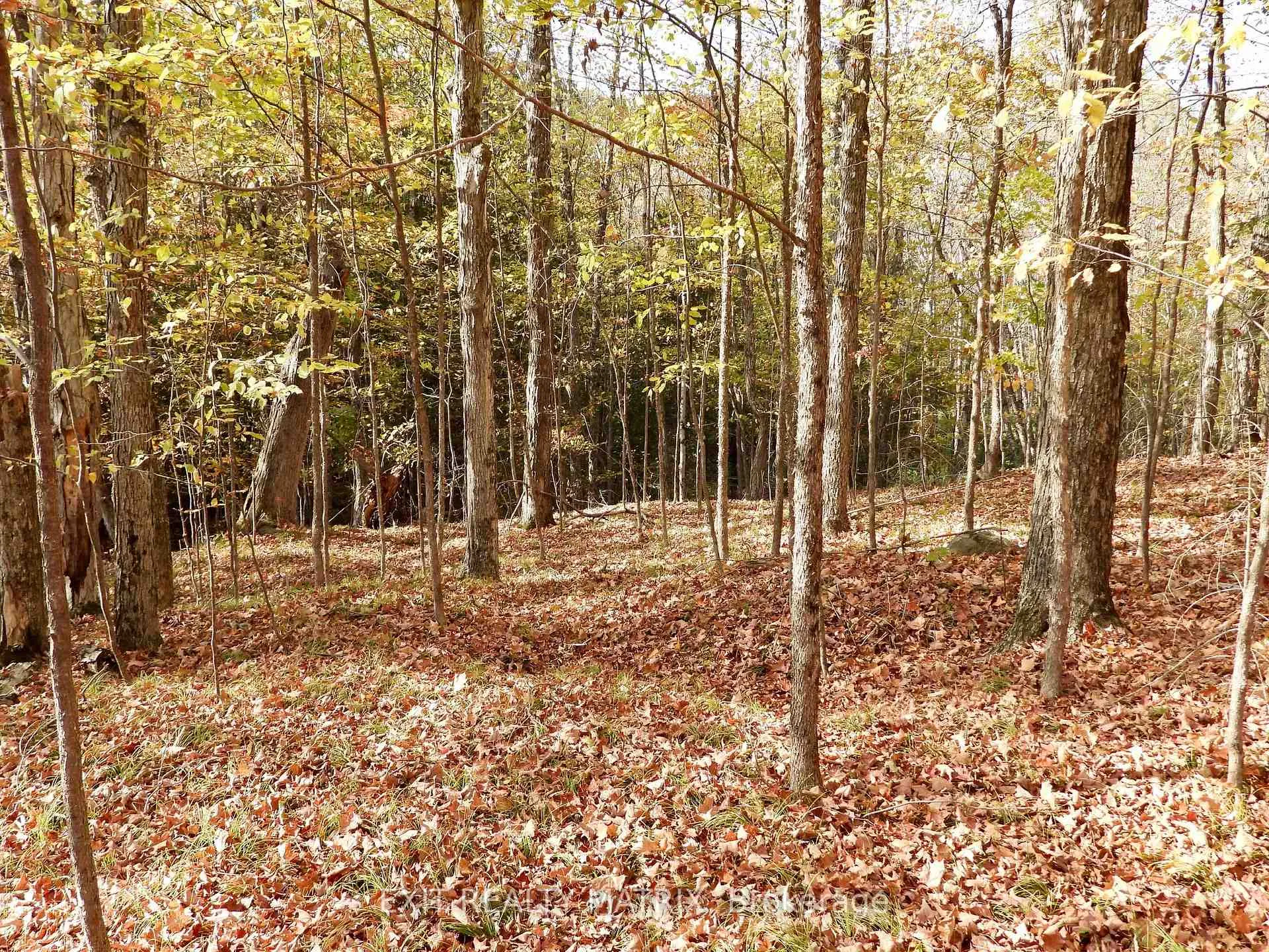 Photo 6 of LOT 2 Woodland Park Drive, Frontenac, Frontenac Centre — HOMEH