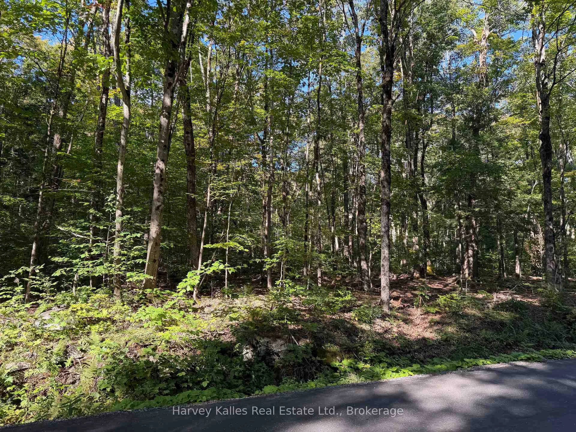 Photo of CON 1 PT LOT 12 Barlochan Road