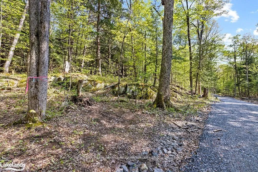 Photo 8 of 1 Salway Lane, McKellar — HOMEH