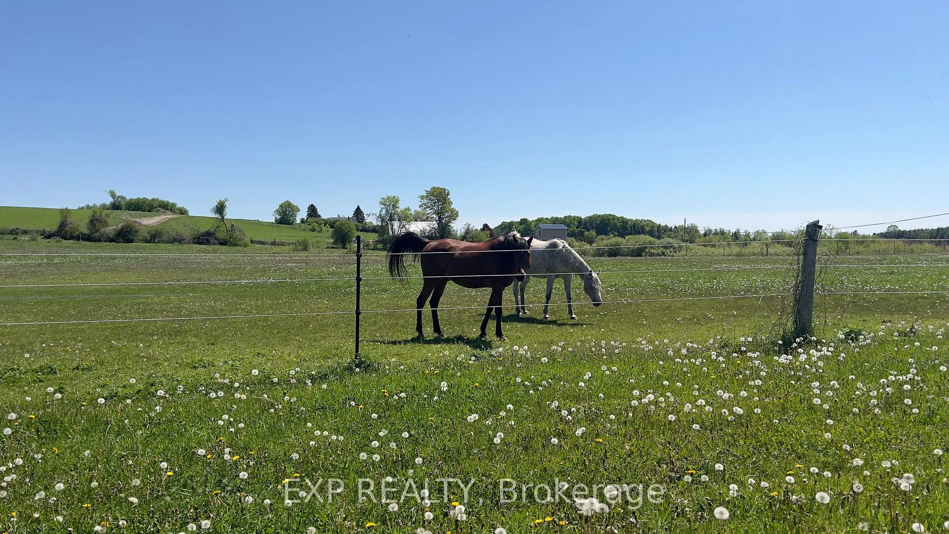 Photo 11 of 14489 Regional Rd 39, Uxbridge, Rural Uxbridge — HOMEH