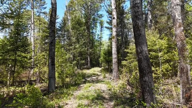 Photo 8 of Unit RD, 576 Hart Road, Callander — HOMEH