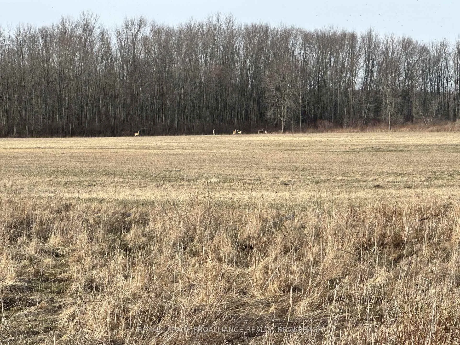 Photo 27 of 68 3rd Concession Road, Frontenac Islands, The Islands — HOMEH