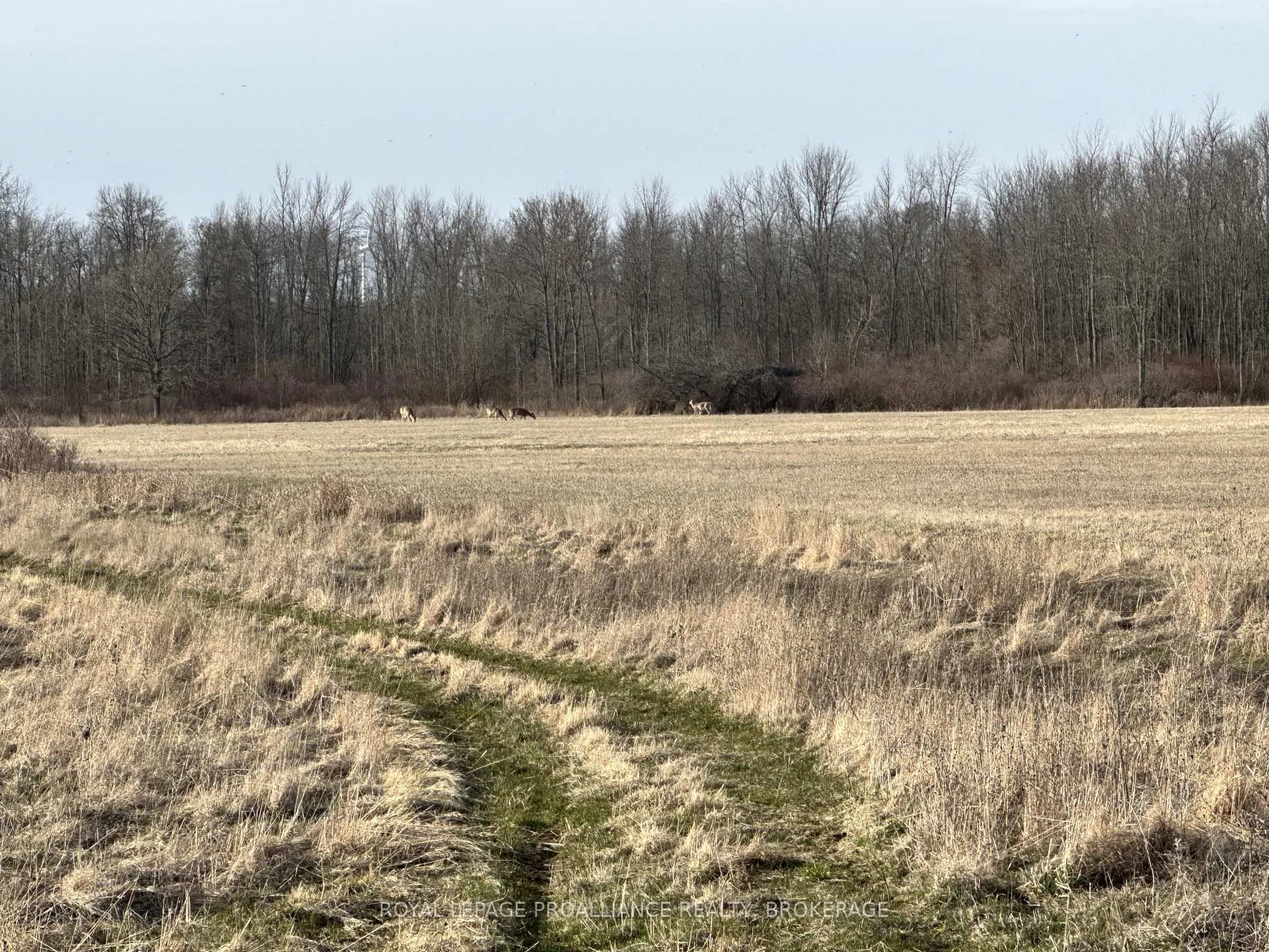Photo 24 of 68 3rd Concession Road, Frontenac Islands, The Islands — HOMEH