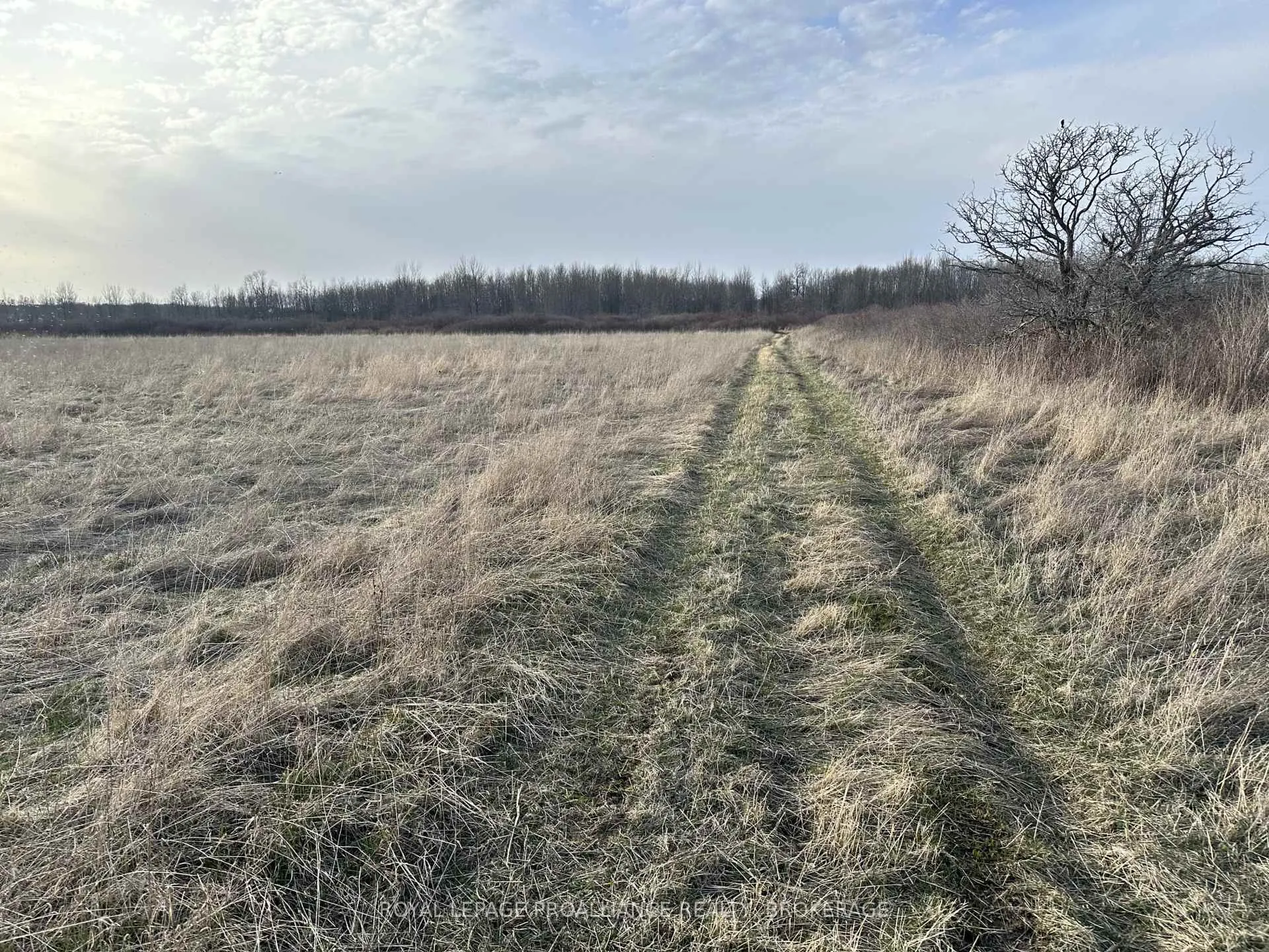 Photo 25 of 68 3rd Concession Road, Frontenac Islands, The Islands — HOMEH