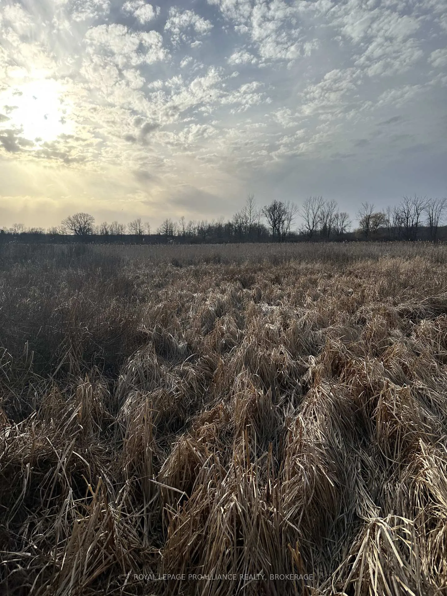 Photo 28 of 68 3rd Concession Road, Frontenac Islands, The Islands — HOMEH