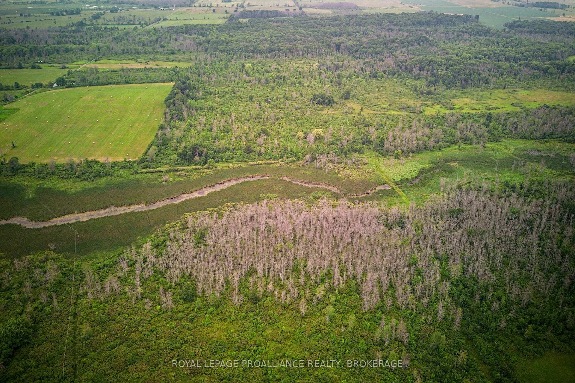 Photo 5 of 68 3rd Concession Road, Frontenac Islands, The Islands — HOMEH