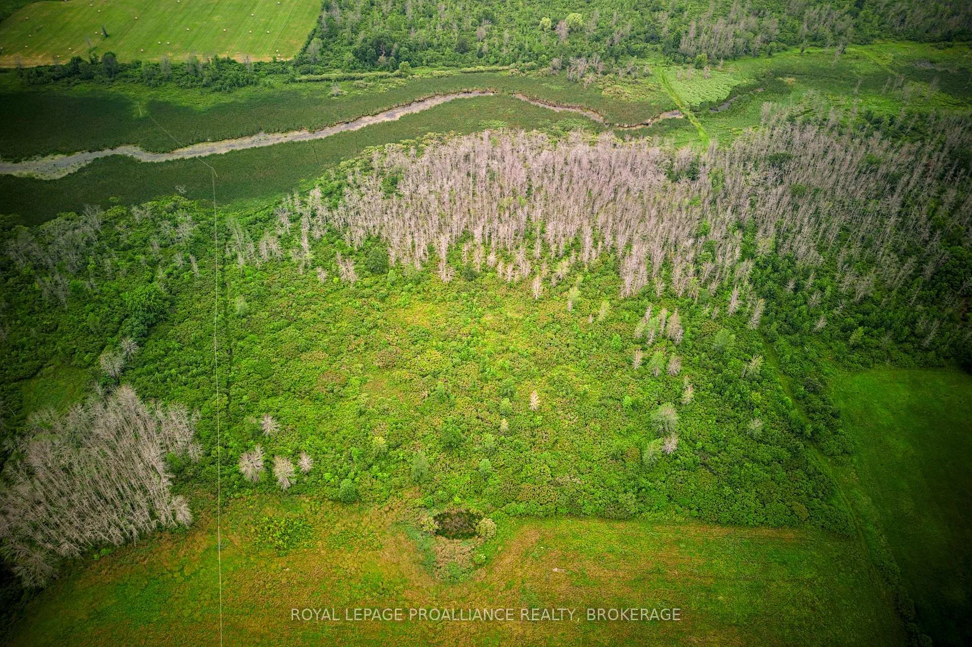 Photo 6 of 68 3rd Concession Road, Frontenac Islands, The Islands — HOMEH