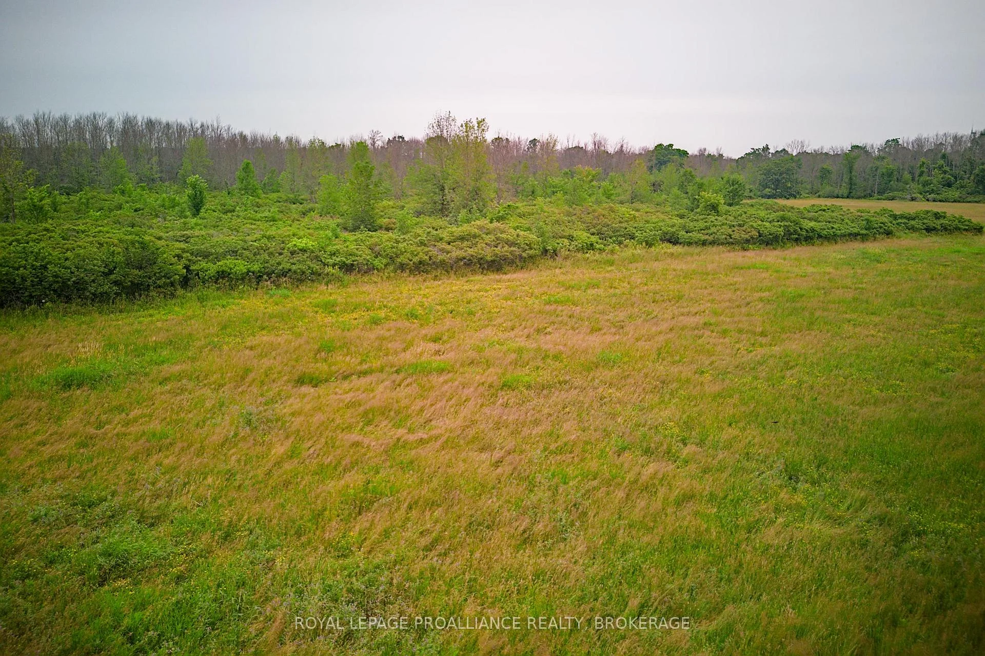 Photo 10 of 68 3rd Concession Road, Frontenac Islands, The Islands — HOMEH