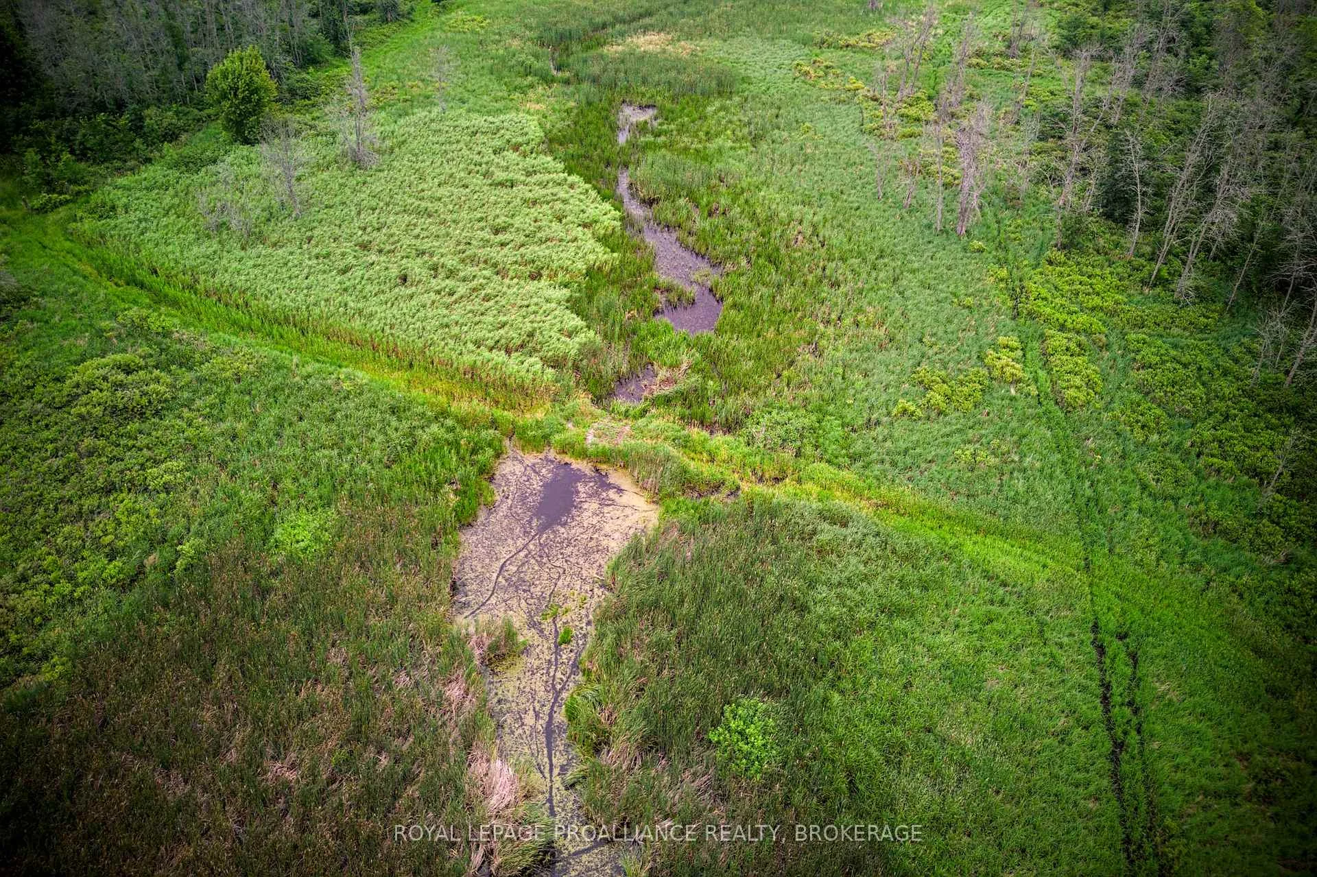 Photo 13 of 68 3rd Concession Road, Frontenac Islands, The Islands — HOMEH